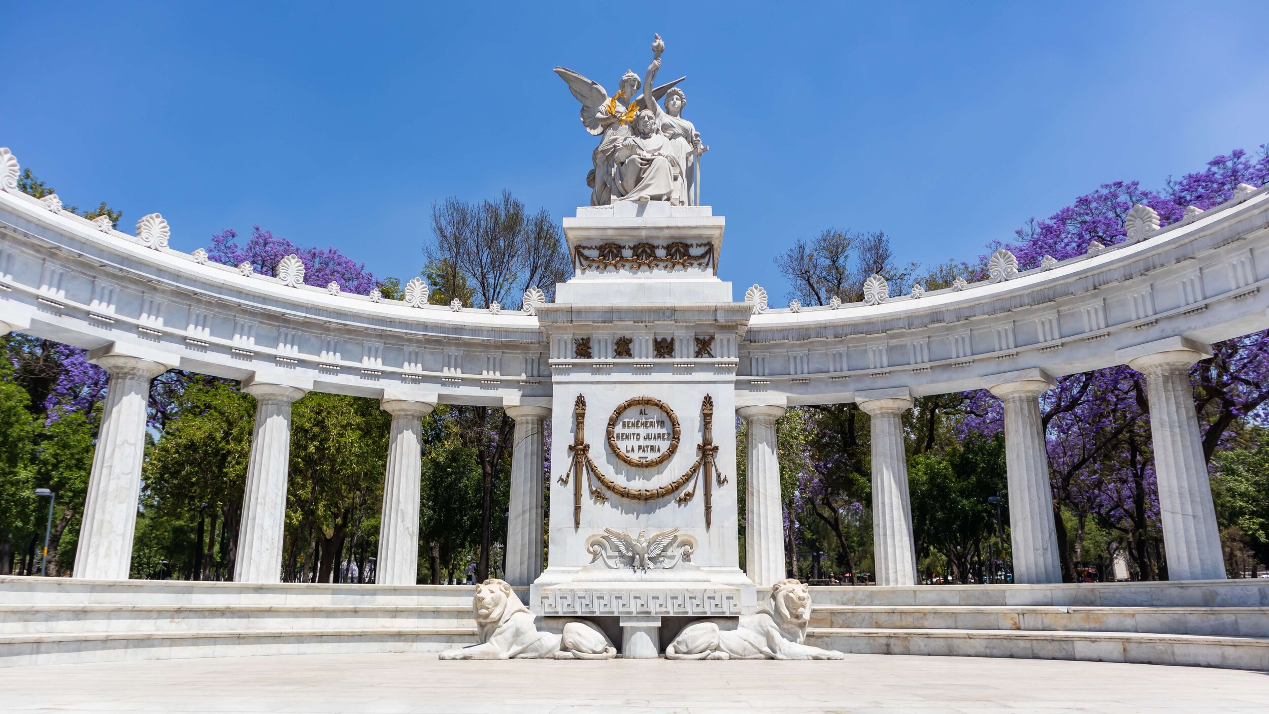 Mexico City Park