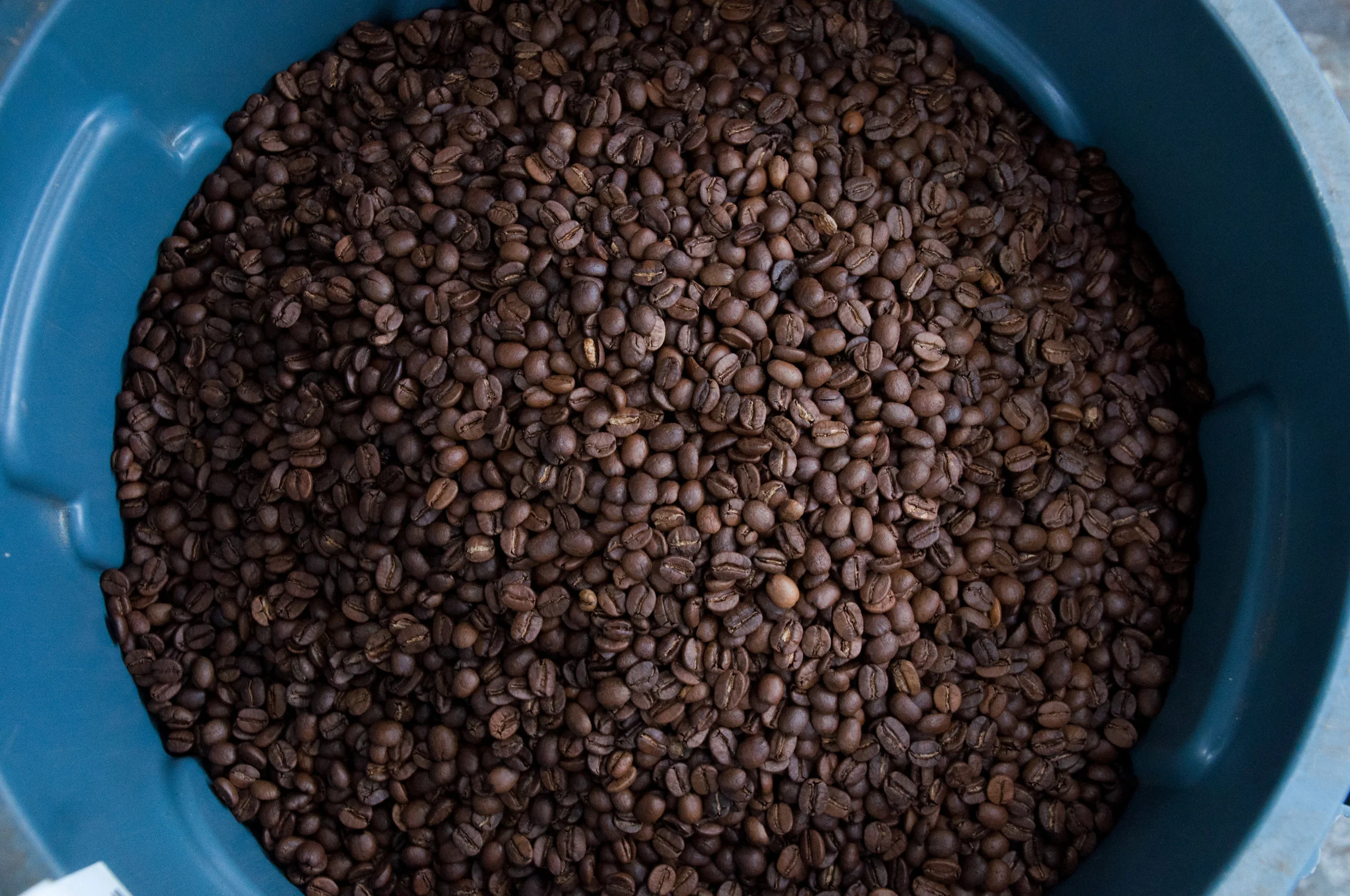 Collaborative Coffee Source Cupping