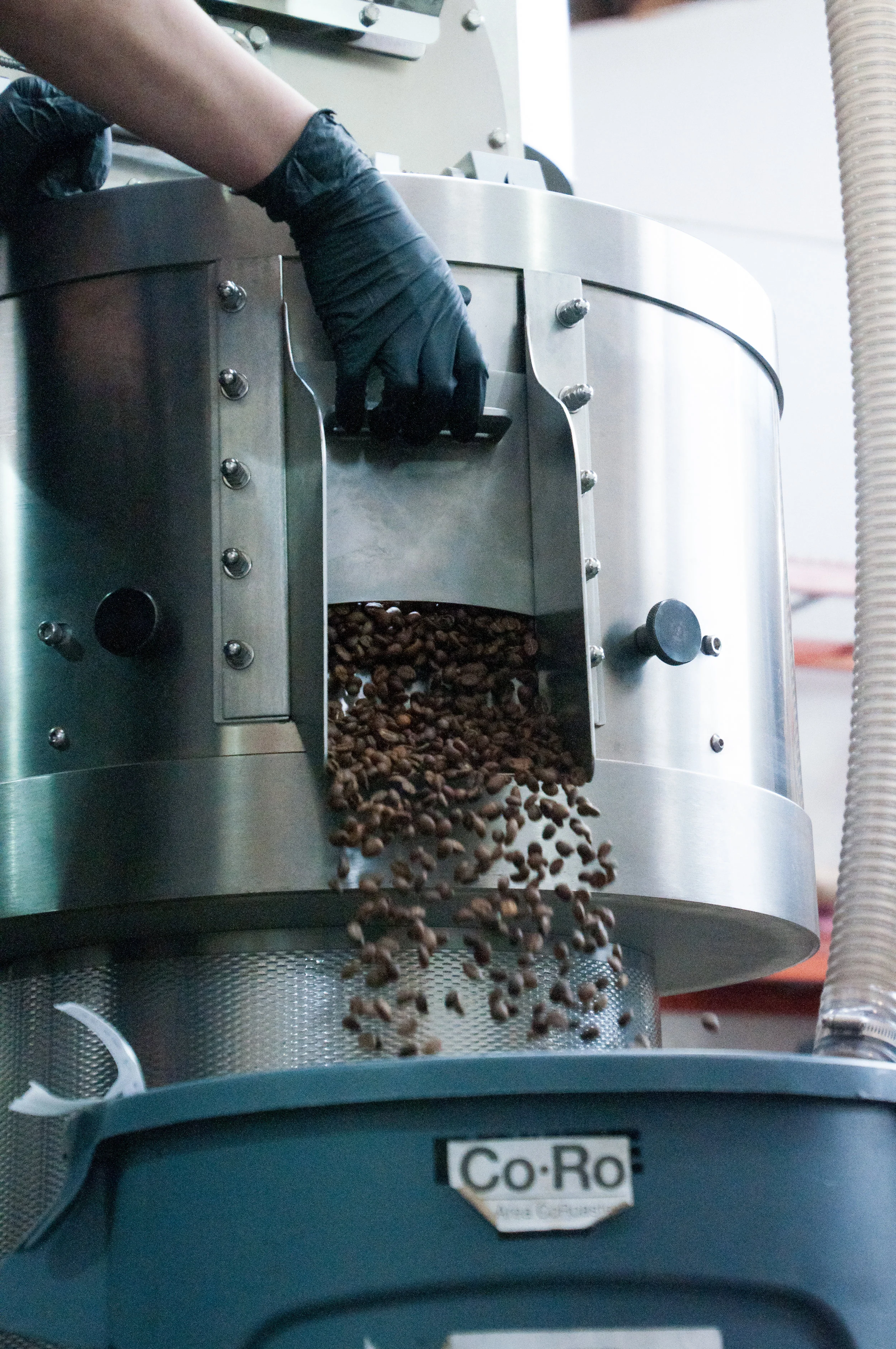 Roasting Practicum: 1-on-1 with a Roast Expert