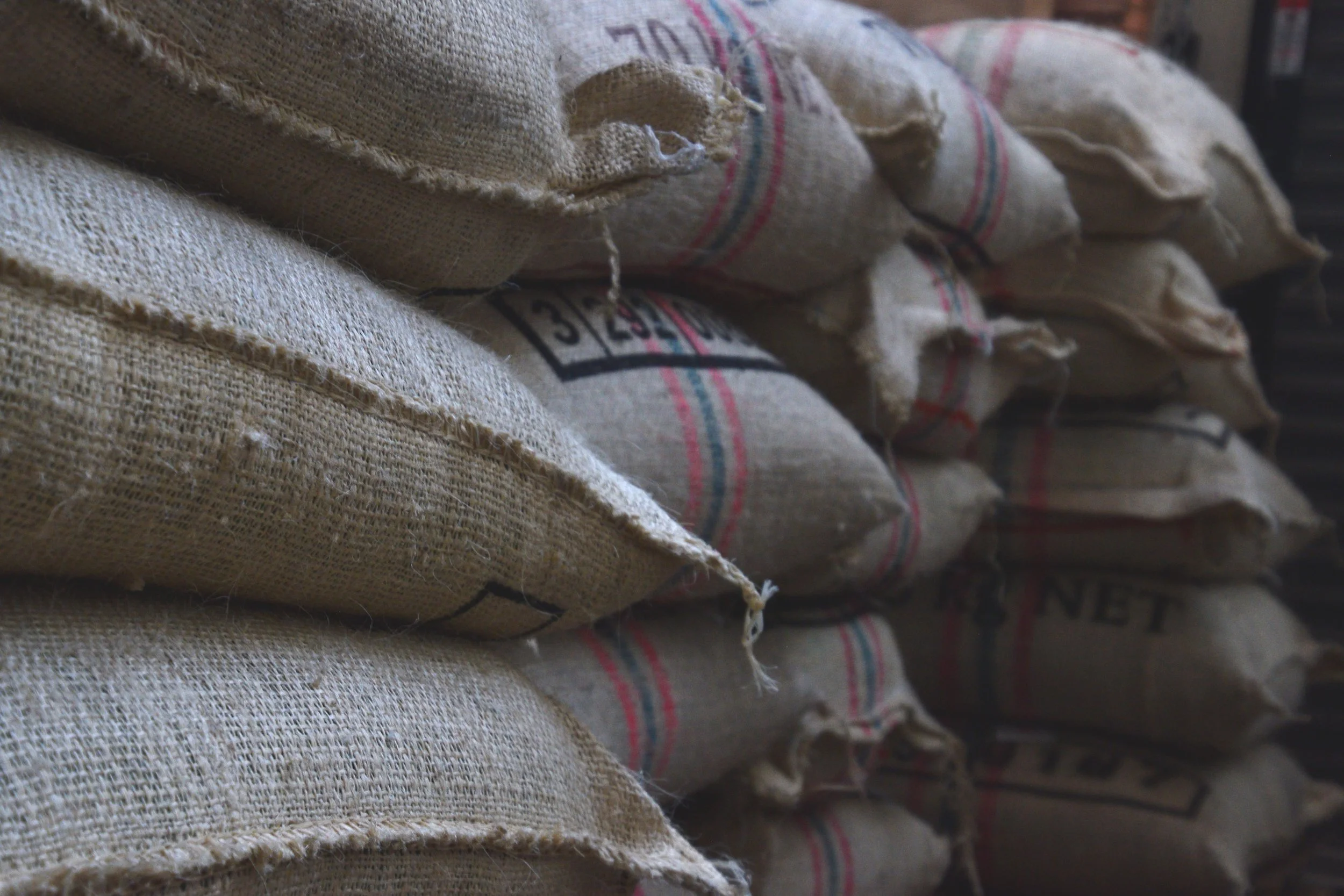 Cupping with Accresco Imports