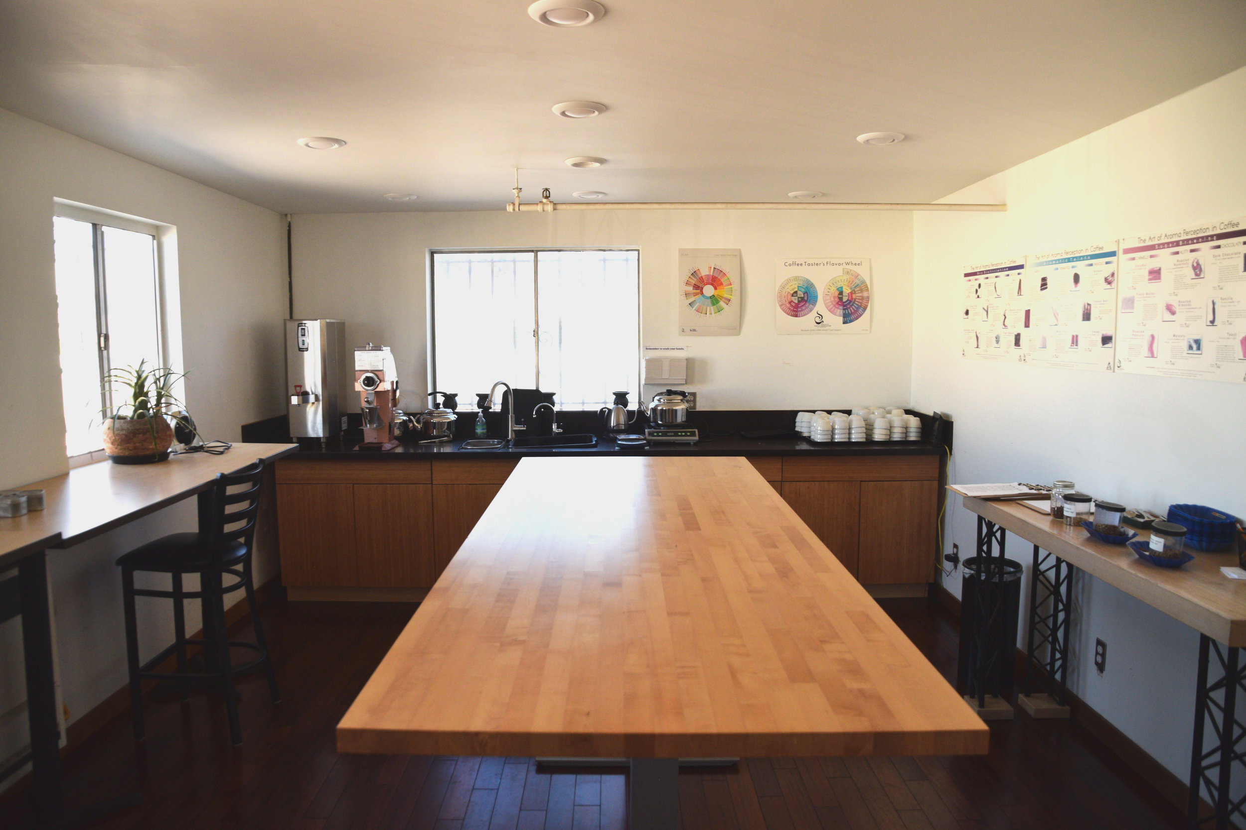 Cupping with Ally Coffee