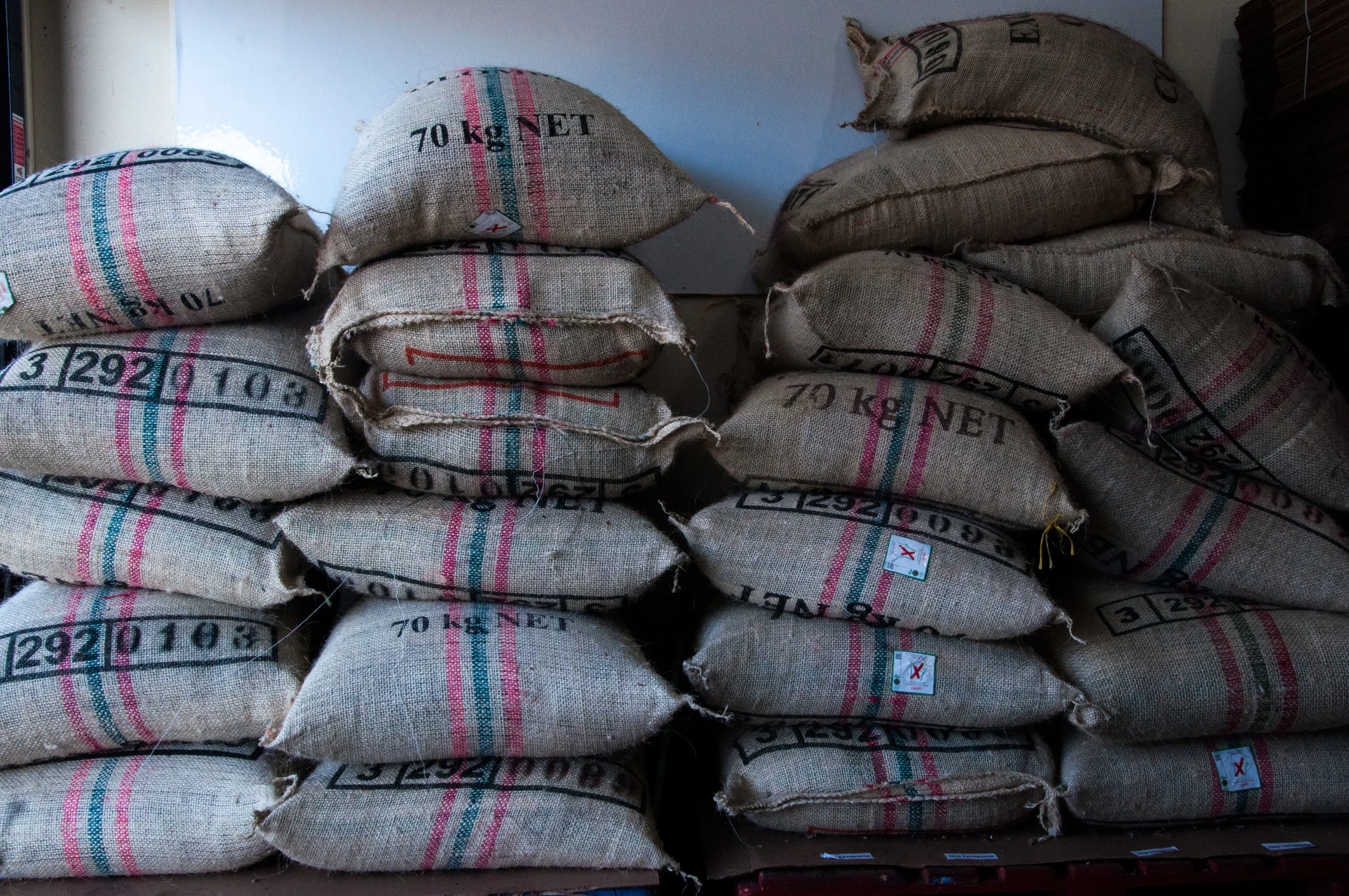 Cupping with Our Coffees