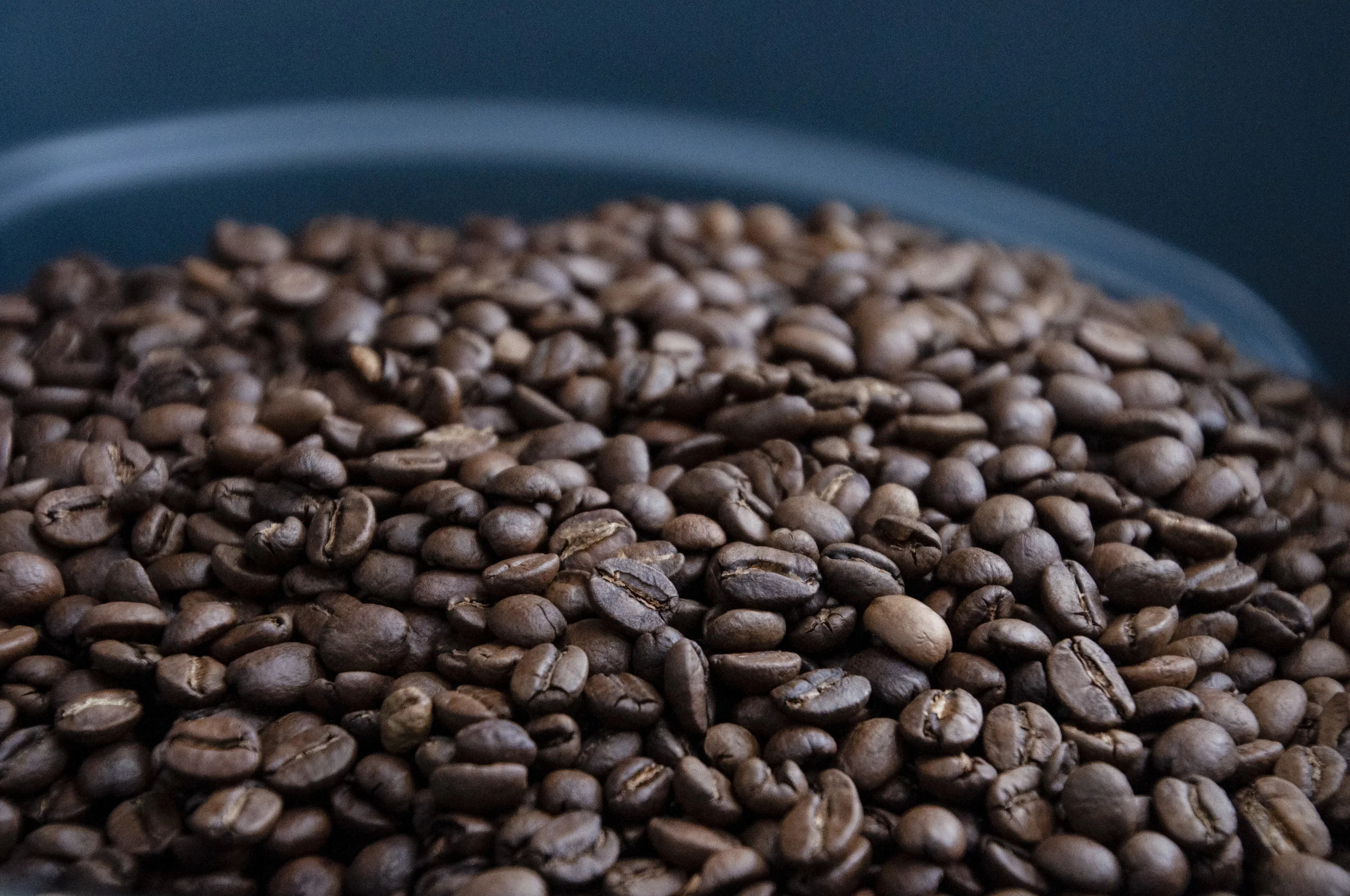 Tasting Tour: Explore CoRo Coffee Roastery with SoulWork Coffee