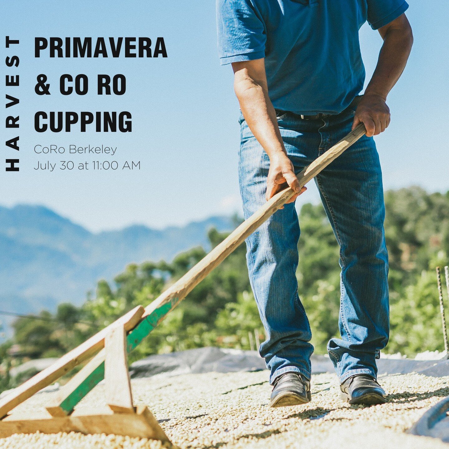 CoRo is super excited to have @primavera.coffee come by for a cupping on July 30th at 11am!

A little about Primavera:

We&rsquo;re a coffee importer specializing in high-quality lots and micro lots from Guatemala, with a sales office in Berkeley, CA