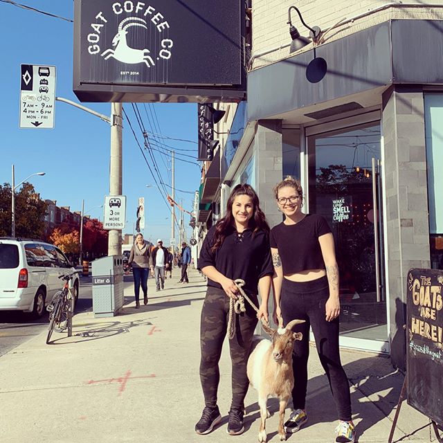 Party on Pape! 🥳
.
Thank you to all of our friends and neighbours for your support this wknd! 🎈#giveagoat
.
Thanks for the great 📷 @katernaphotography
.
.
.
#grazeatthegoat #toronto #the6ix #papevillage #danforth #eastyork #playter #iloveeastyork 