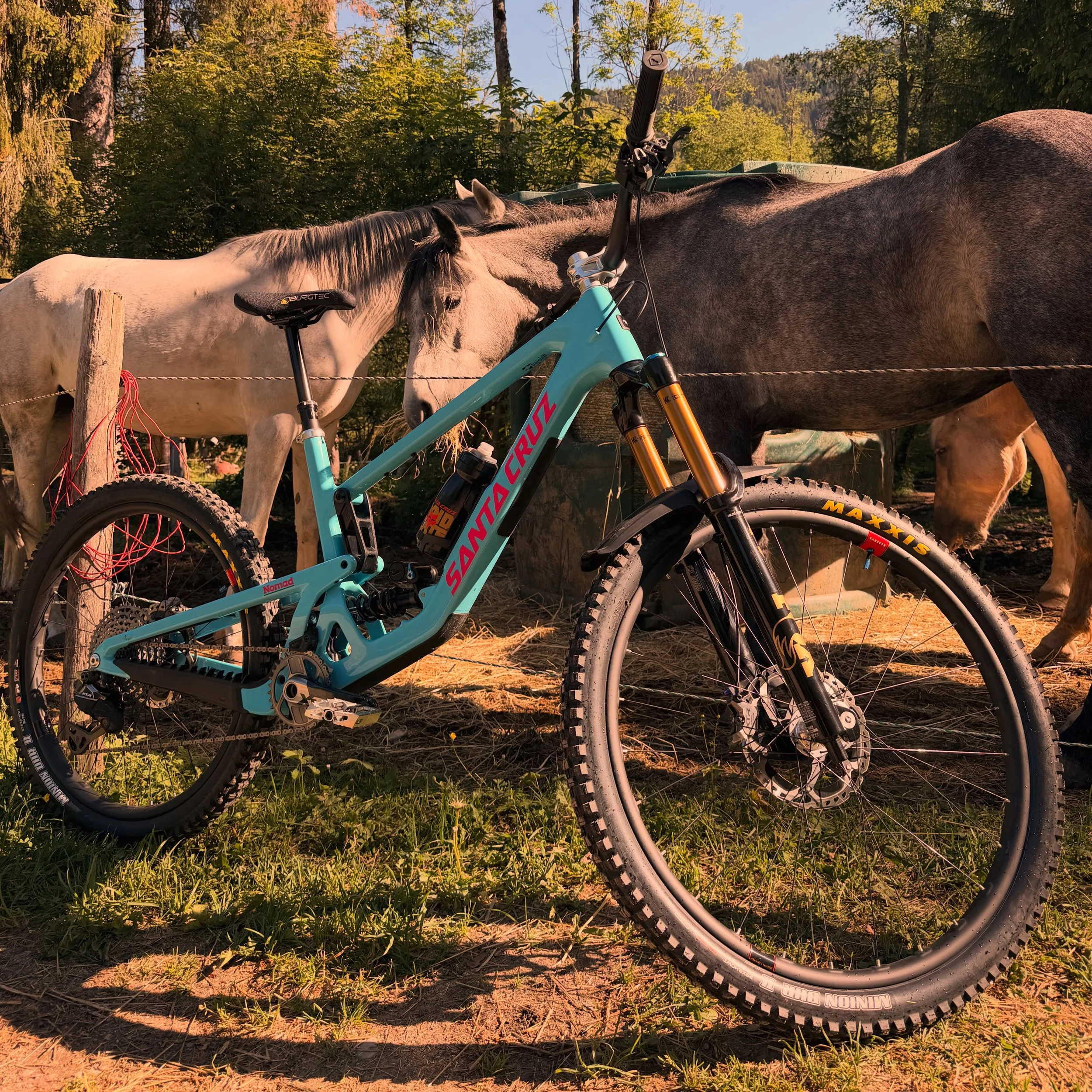 Steed check🐴 My @santacruzbicycles Nomad, these fellas seem to like it.. 

@santacruzsyndicate 👌👌