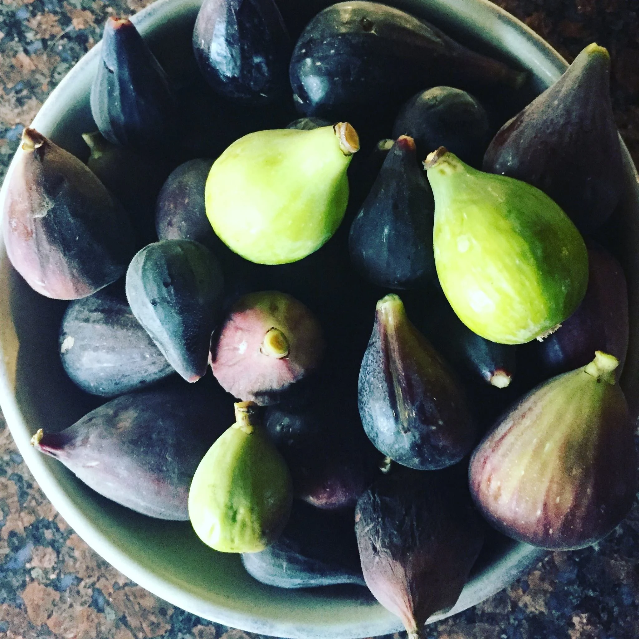 MyFigs.jpg