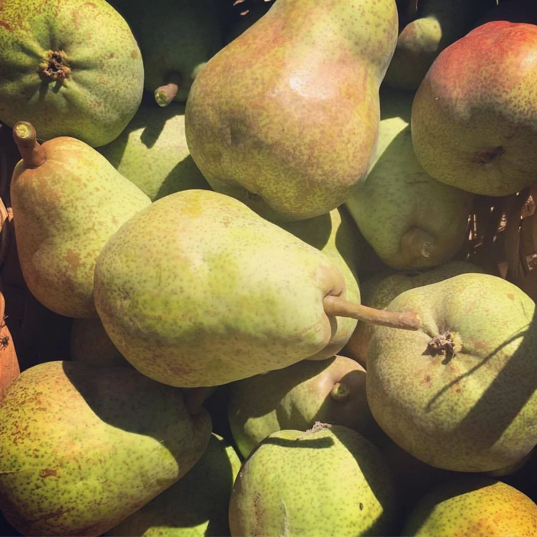 MyPears.jpg