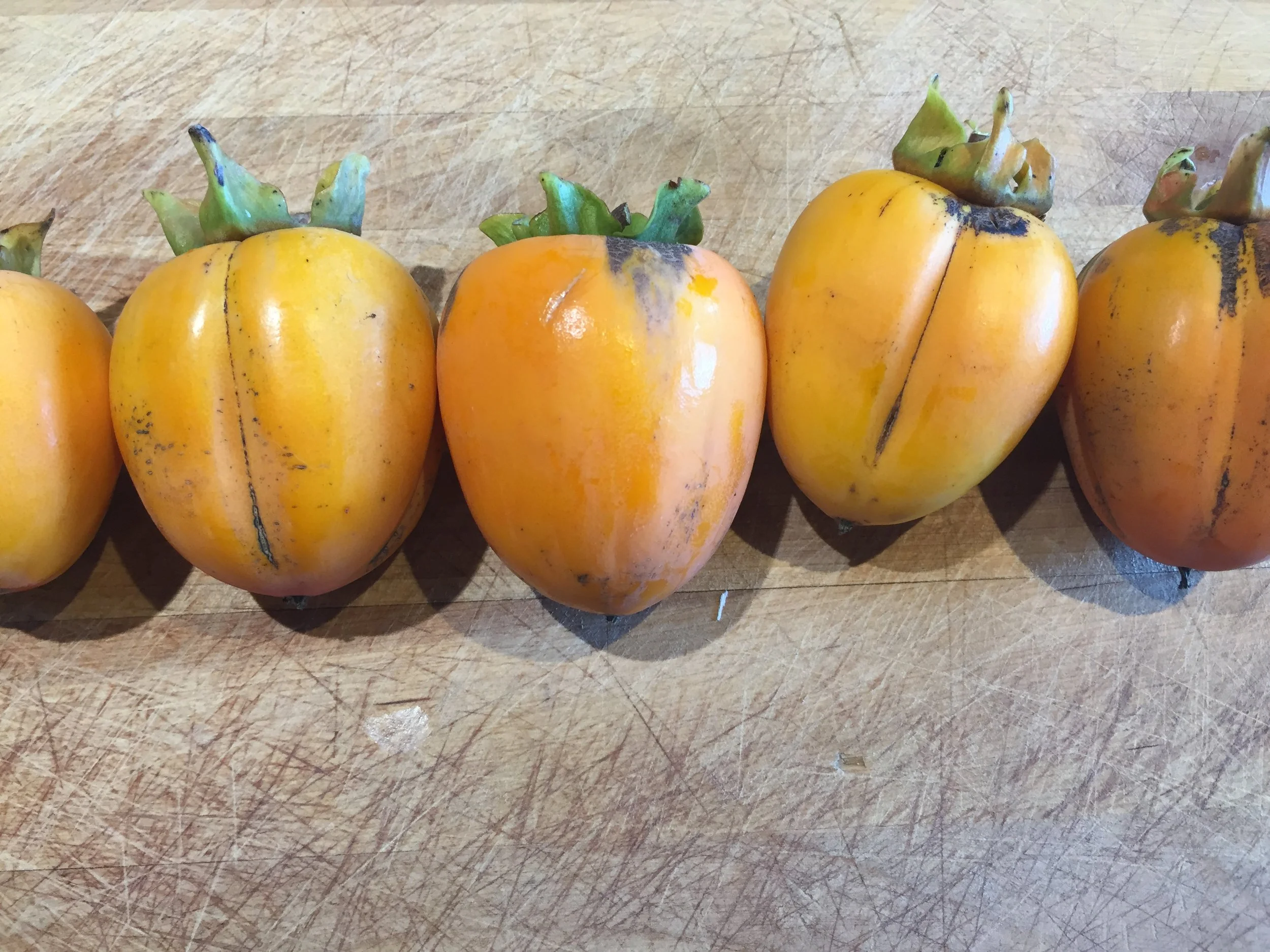 Saijo Persimmons