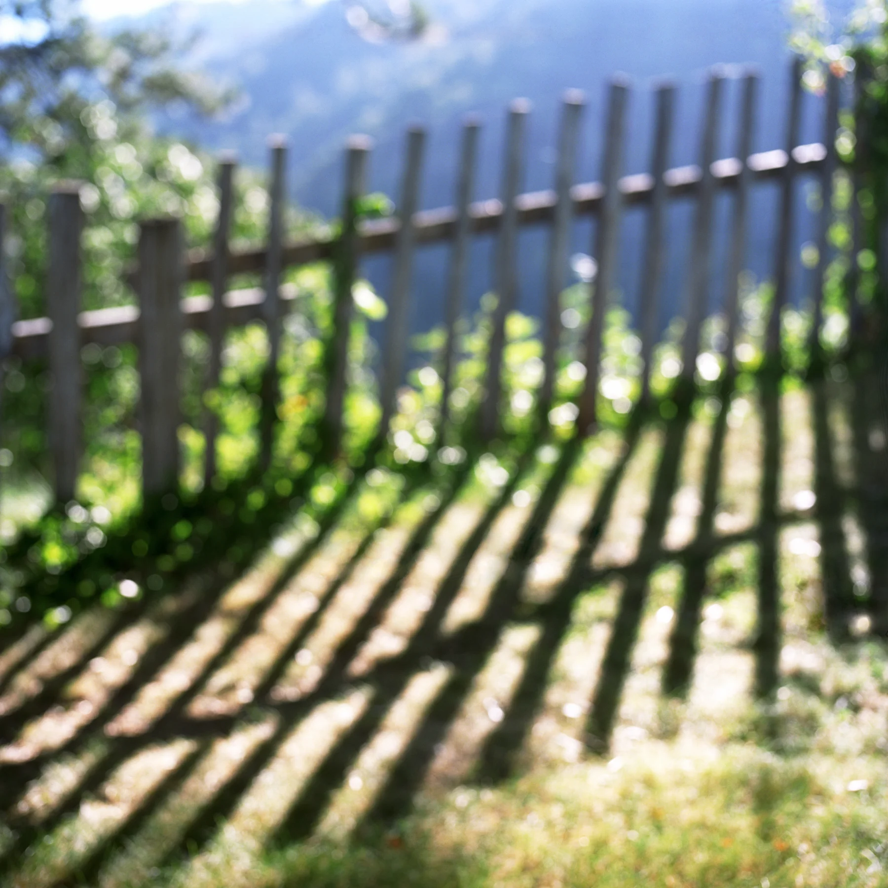 LG_H_Sam's_Fence.master.jpg
