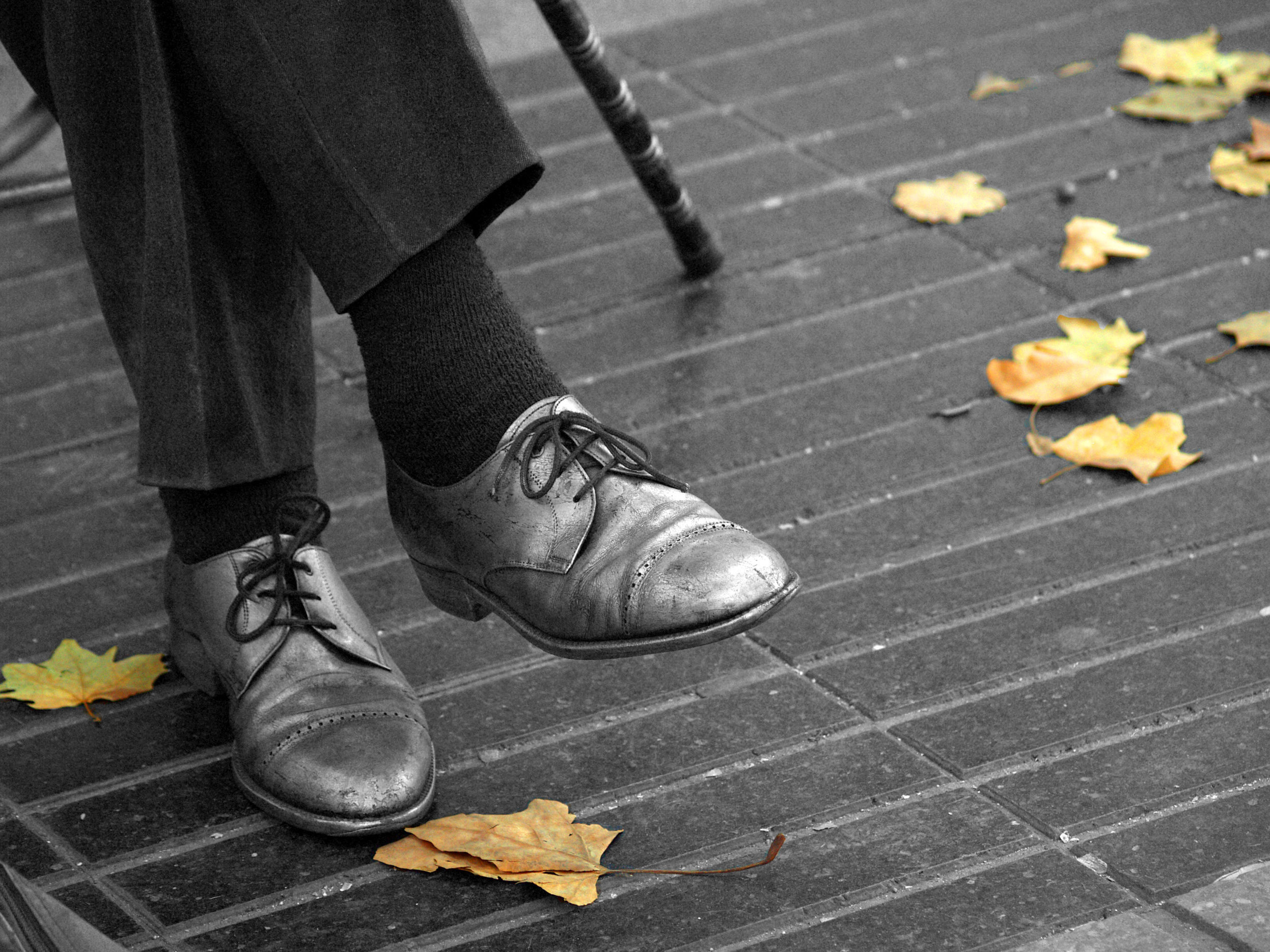 The Fall by Manolo Toledo - Downloaded from 500px.jpg
