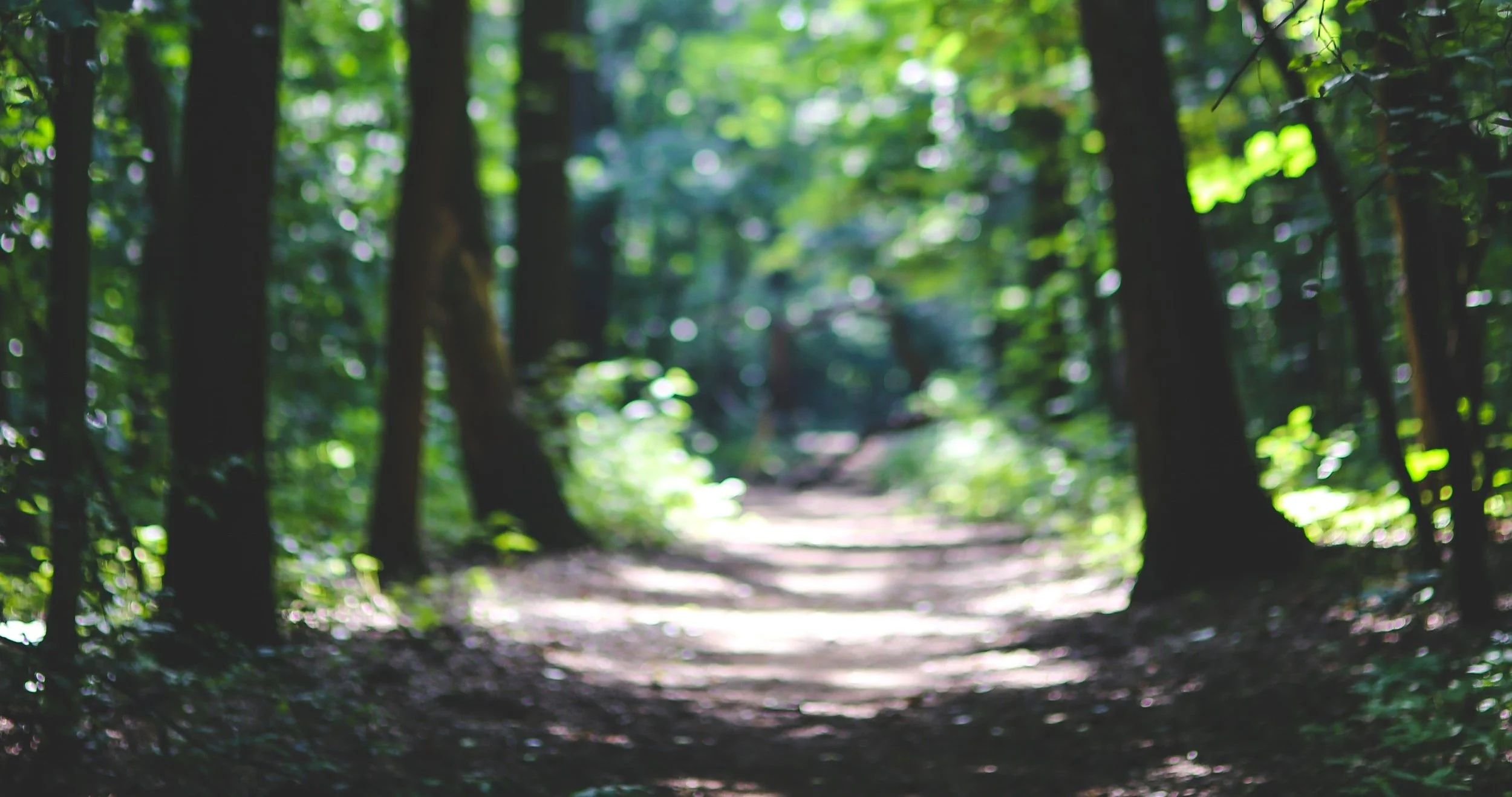 Infinite Tree Path Infinite Grace