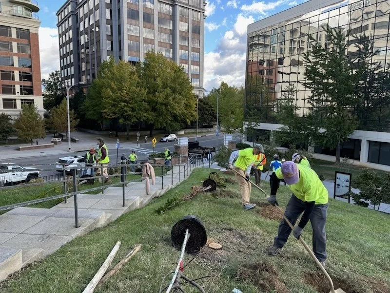 Fall 2023 - Elmwood Park