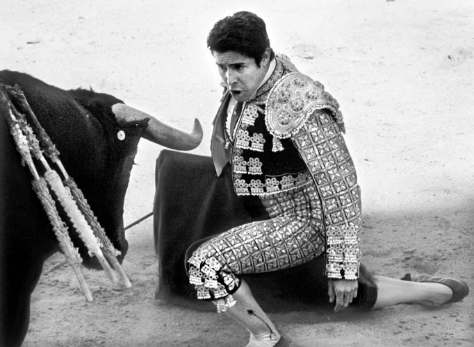 DM_BULLFIGHT_0004.jpg