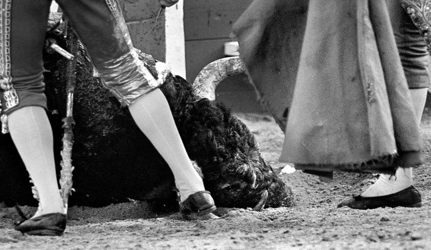 DM_BULLFIGHT_0006.jpg