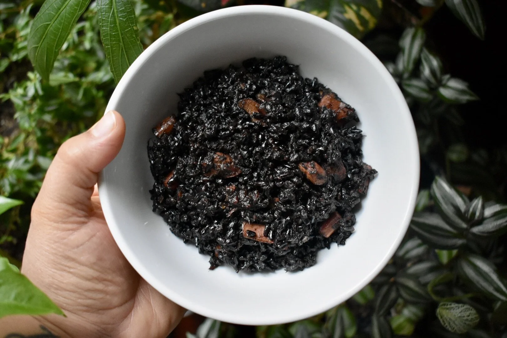 Arroz con Calamares (Rice with Calamari)