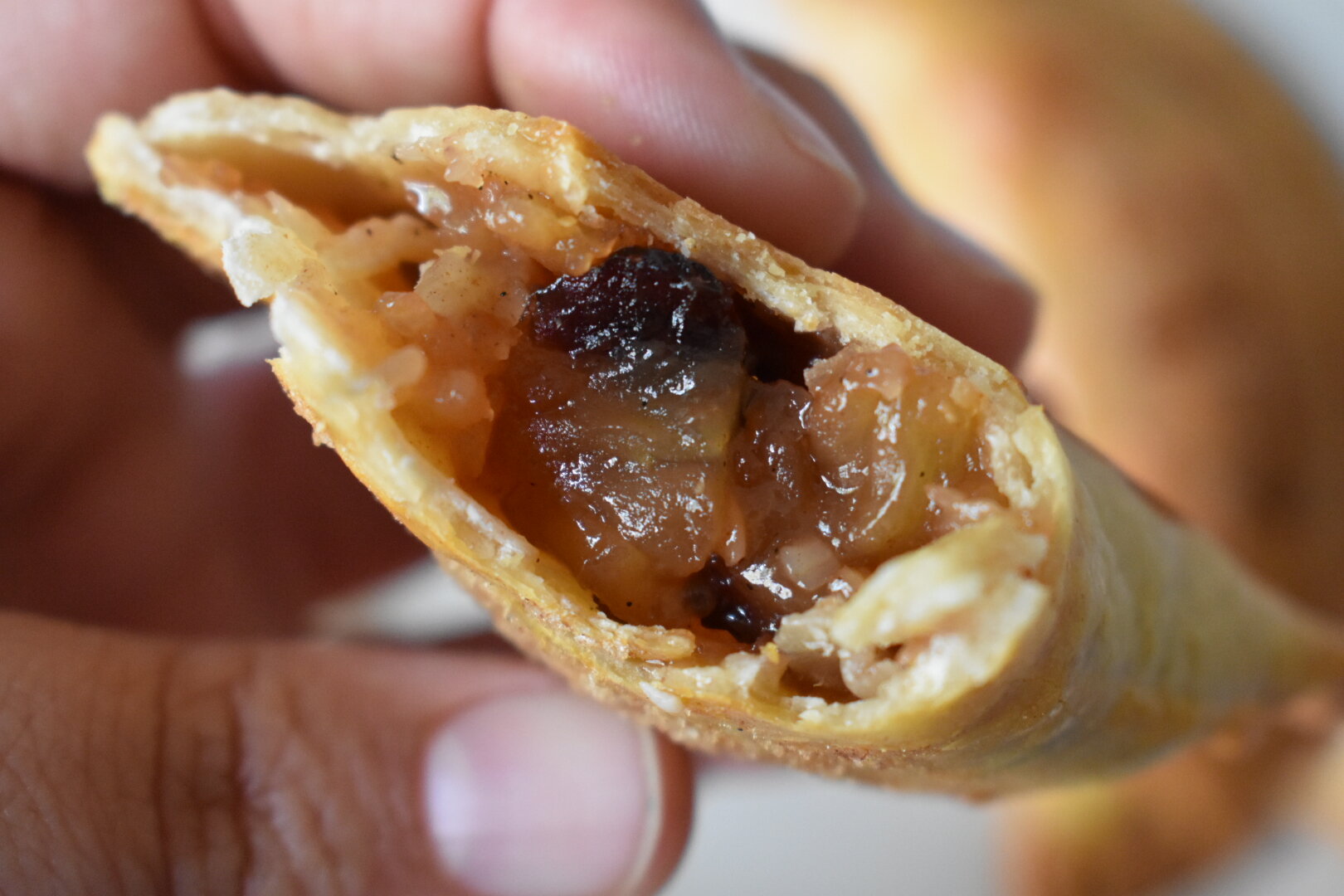 Apple Cranberry Empanadas