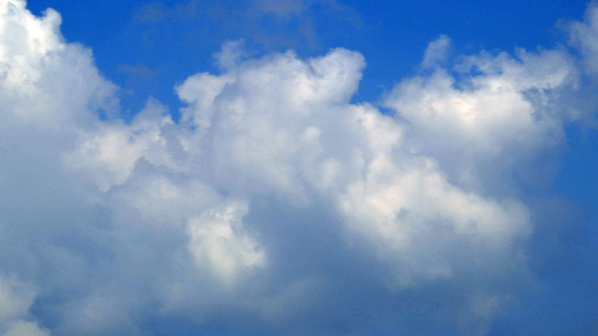 AA0023011.MXF.Still001.jpg