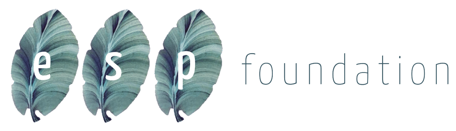 ESP Foundation