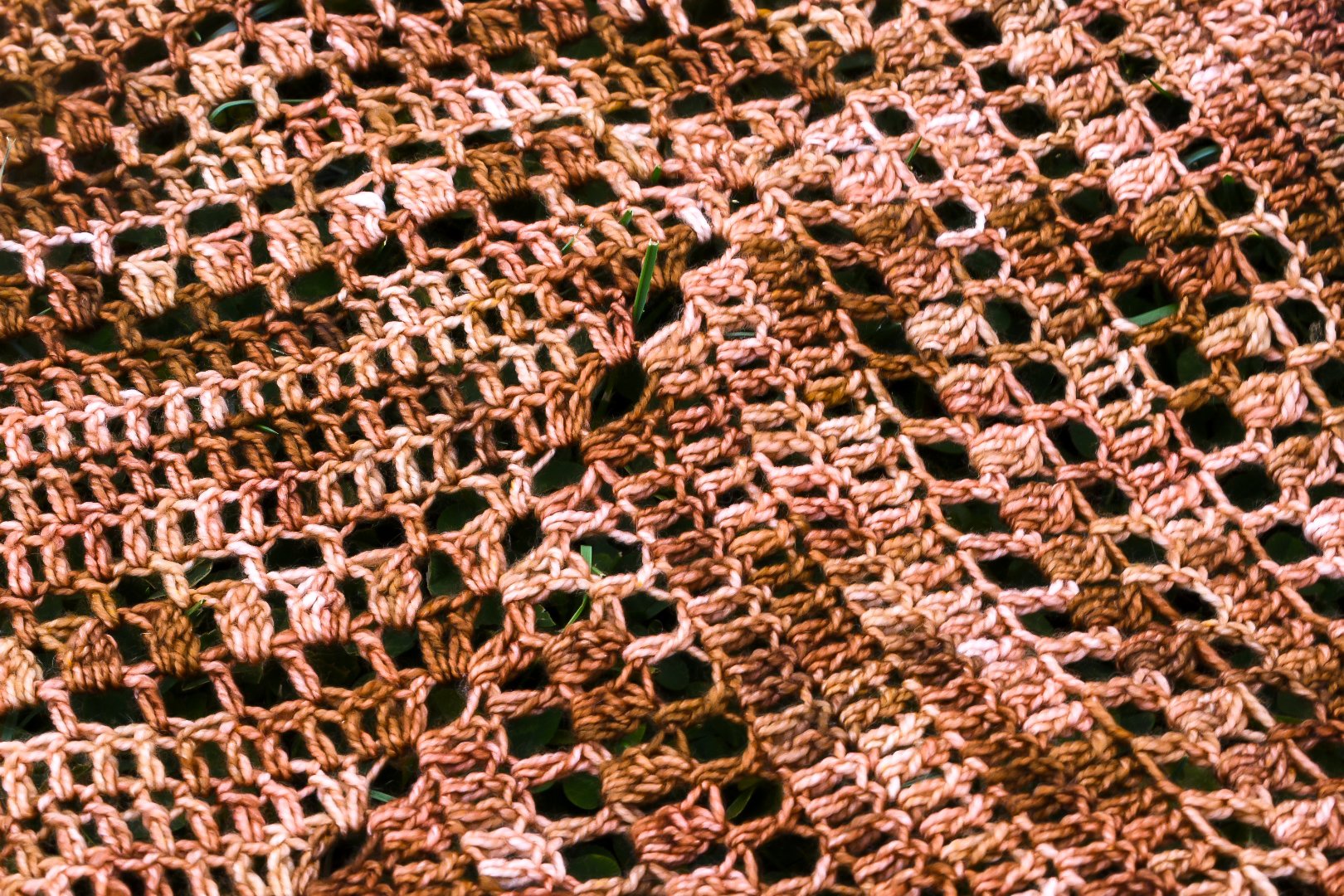 DSC_0528.jpeg