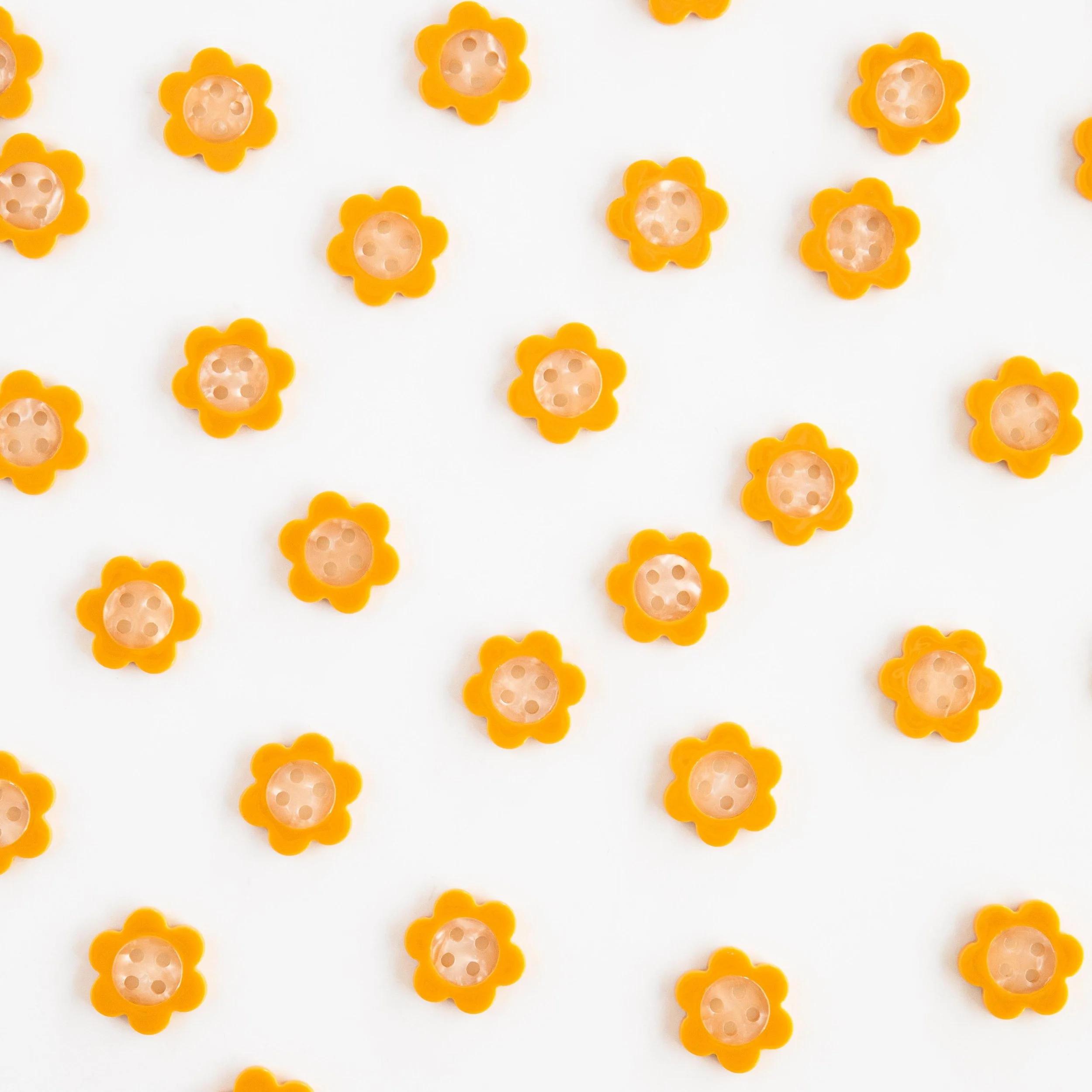 BT01-small-daisy-1.jpeg