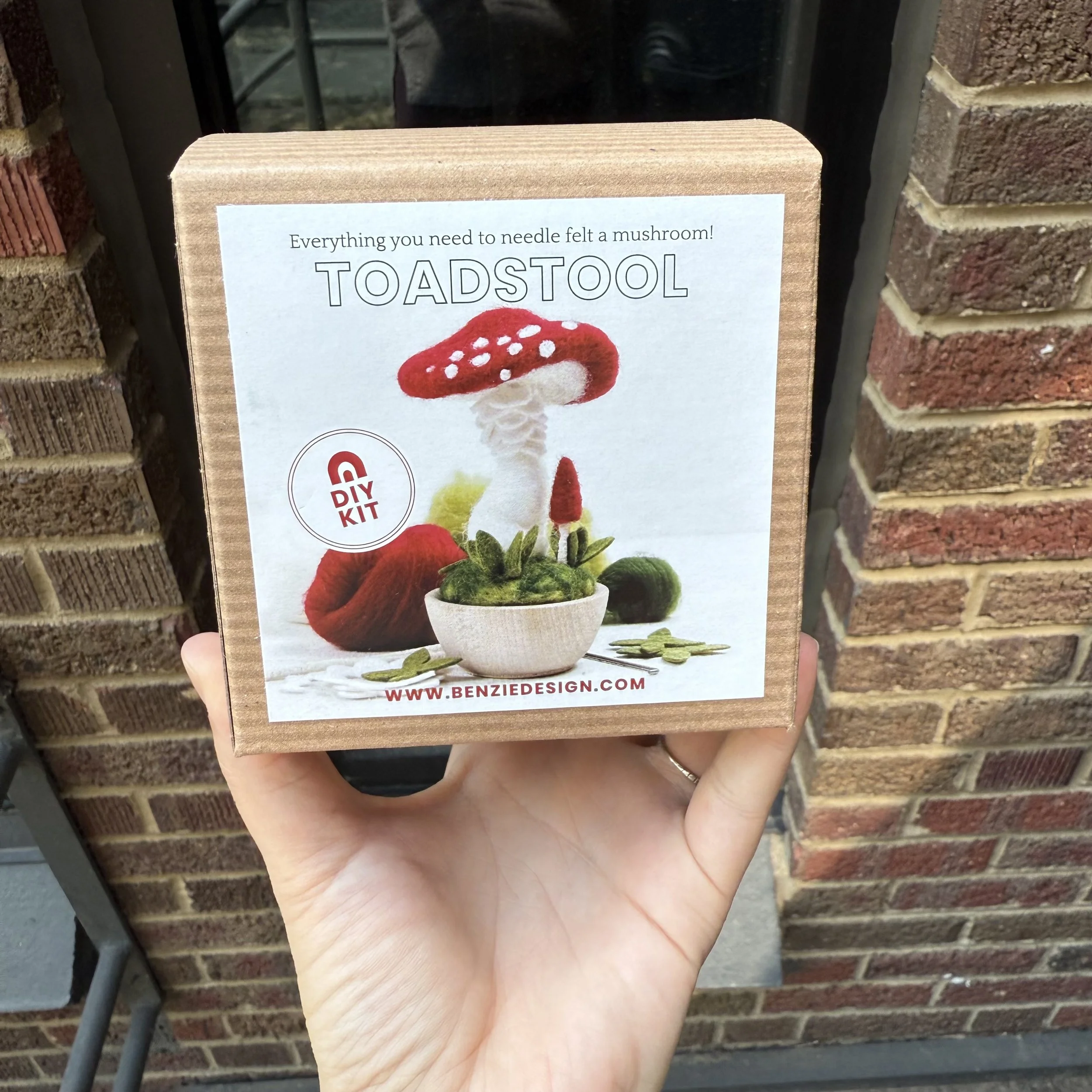 Needle Felting Kit Crimson Toadstool | Benzie Design
