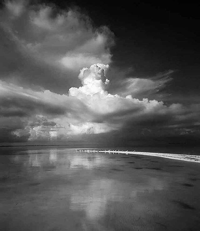 LITTLE BUTTERNUT KEY 2 | 1997 
I spent a week photographing the upper Florida Bay, off Key Largo Island, to capture the final ecosystem of the Everglades. As a storm was in the midst of being created, we came to this sandbar. It made the perfect fore