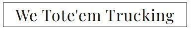 We-Tote_em-Trucking.jpeg