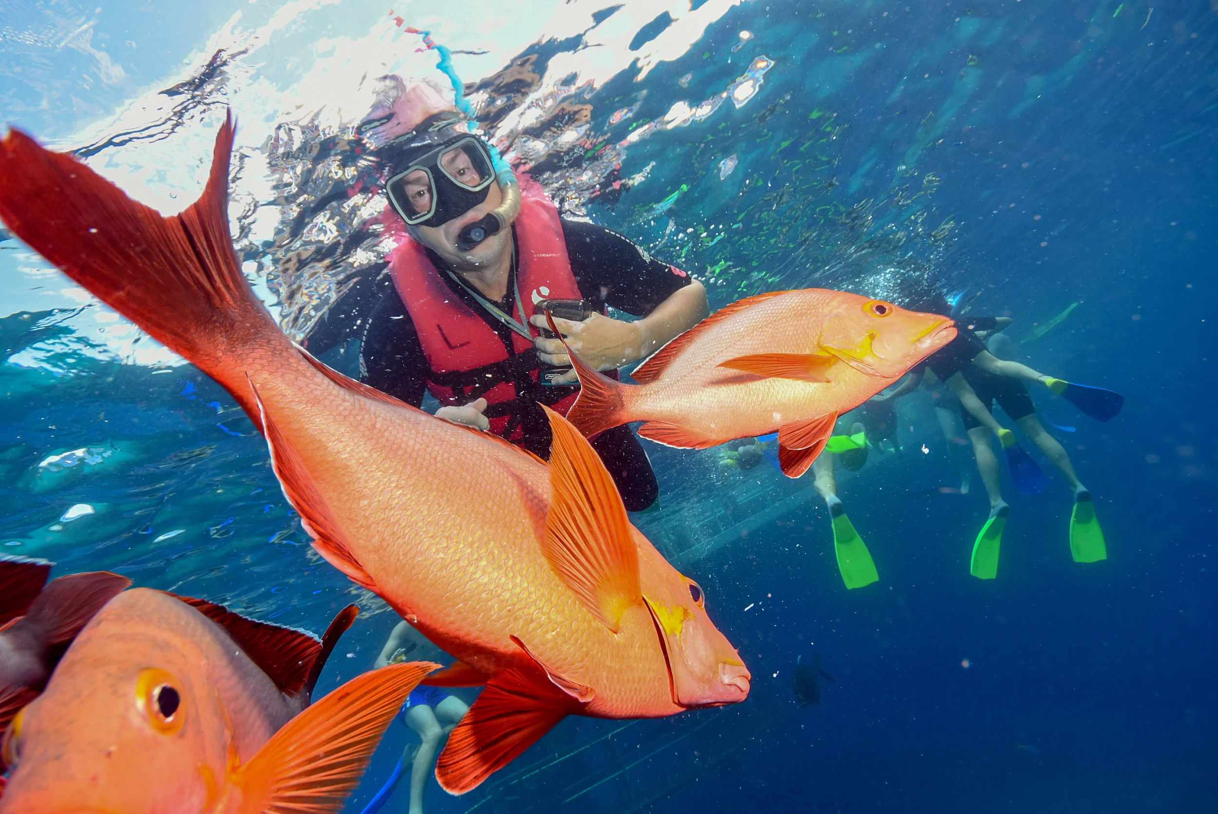 Cairns: The Great Barrier Reef