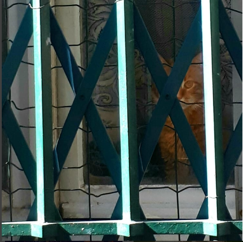  “I’m sheilded in my armor  I’m a rock  I’m an island and a rock feels no pain and an island never cries”  Simon and Garfunkel   9.11.18   