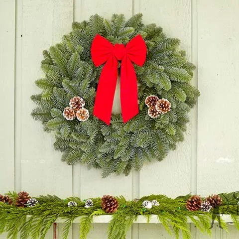 22%22 NOBLE FIR.jpg