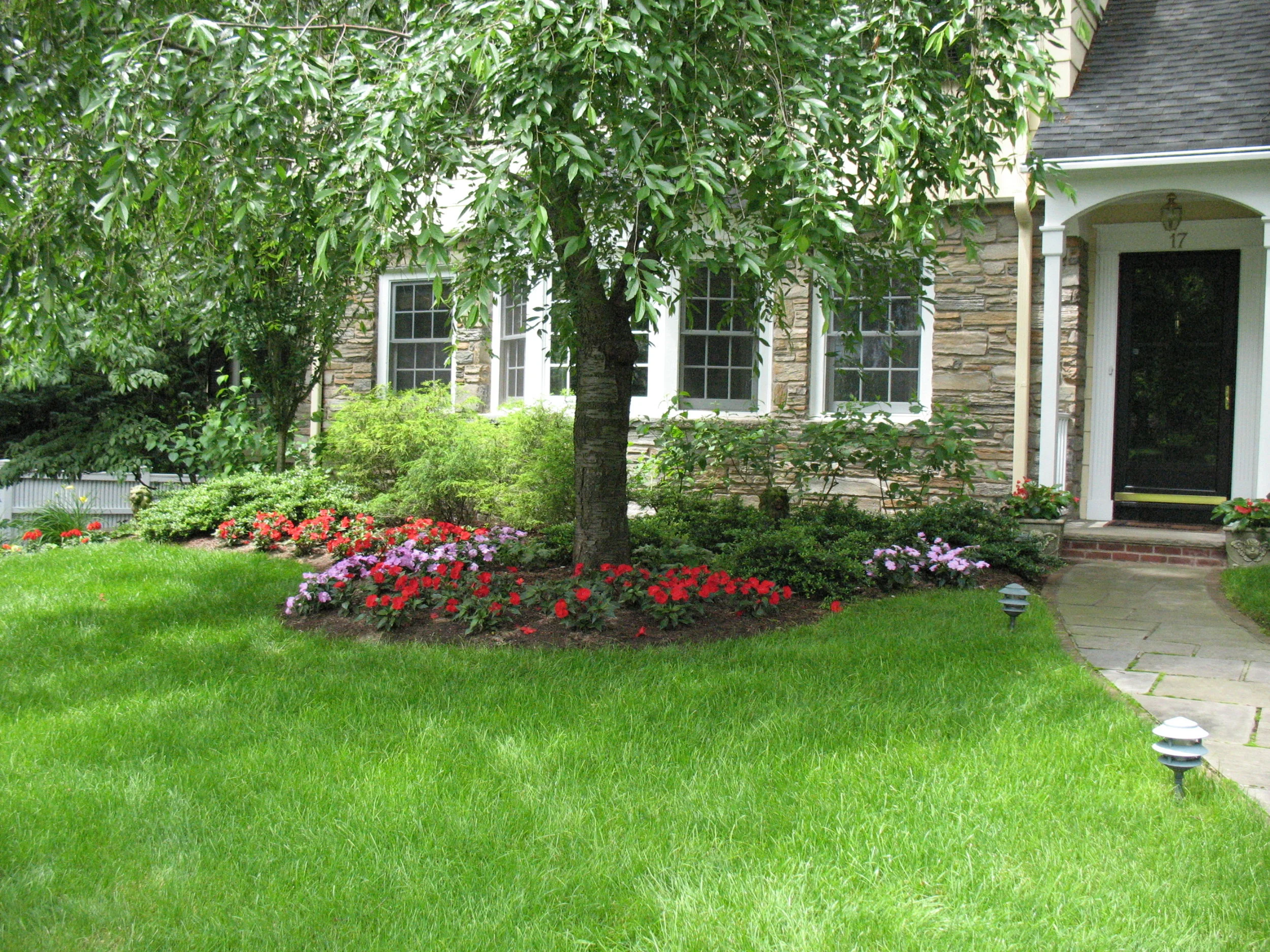 2009Jun002.jpg