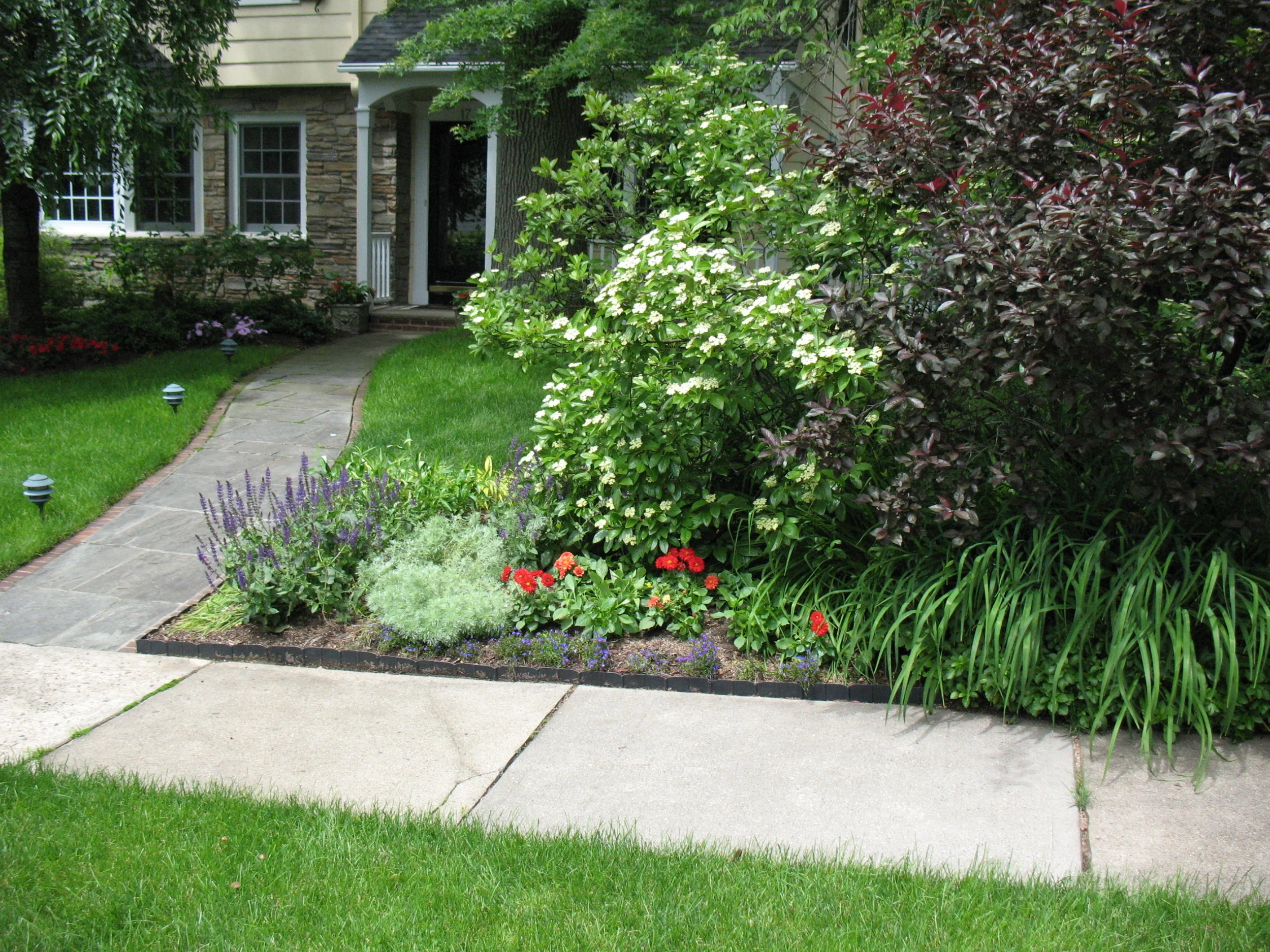 2009Jun001.jpg