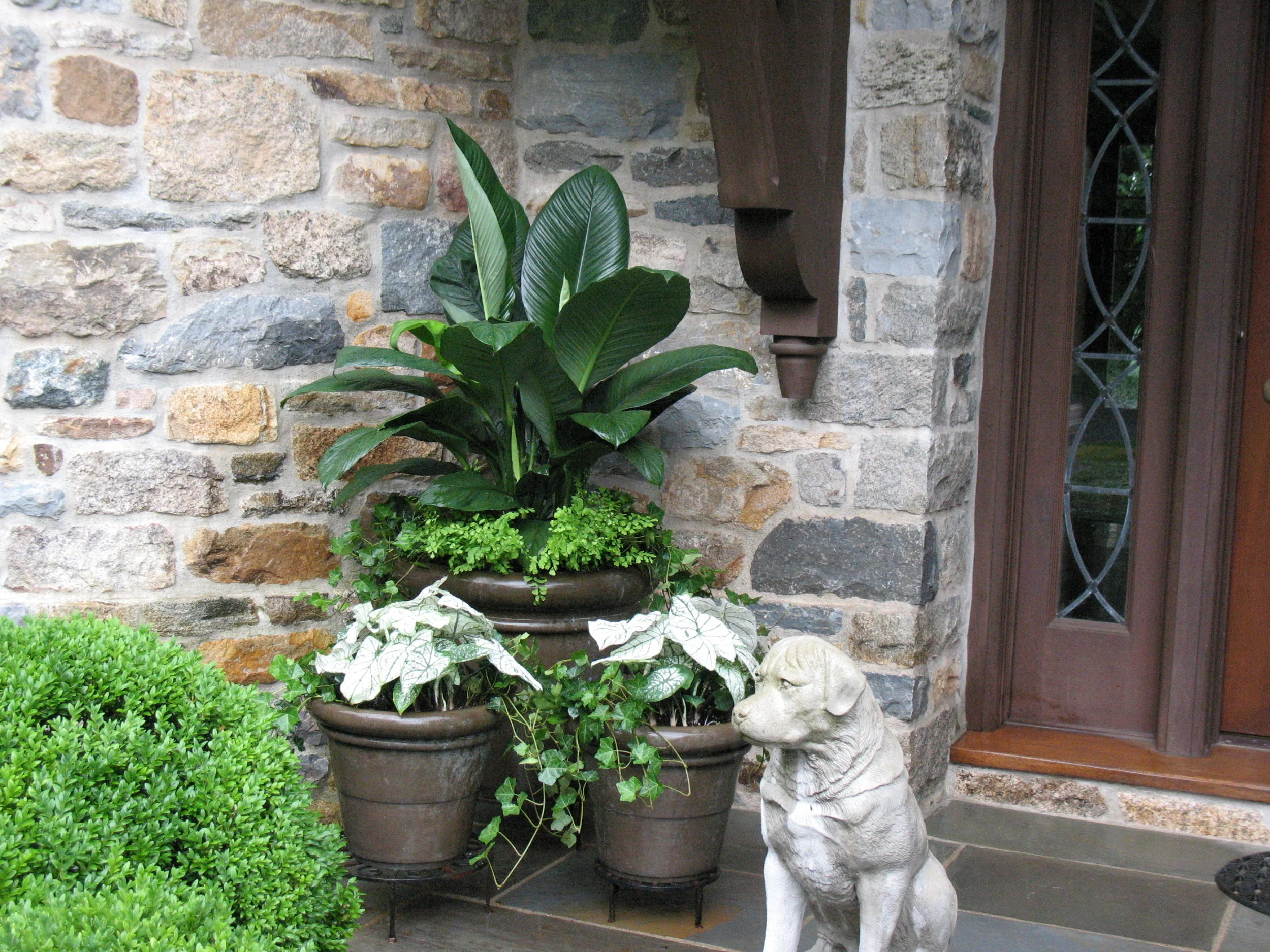 2009Jul34.jpg