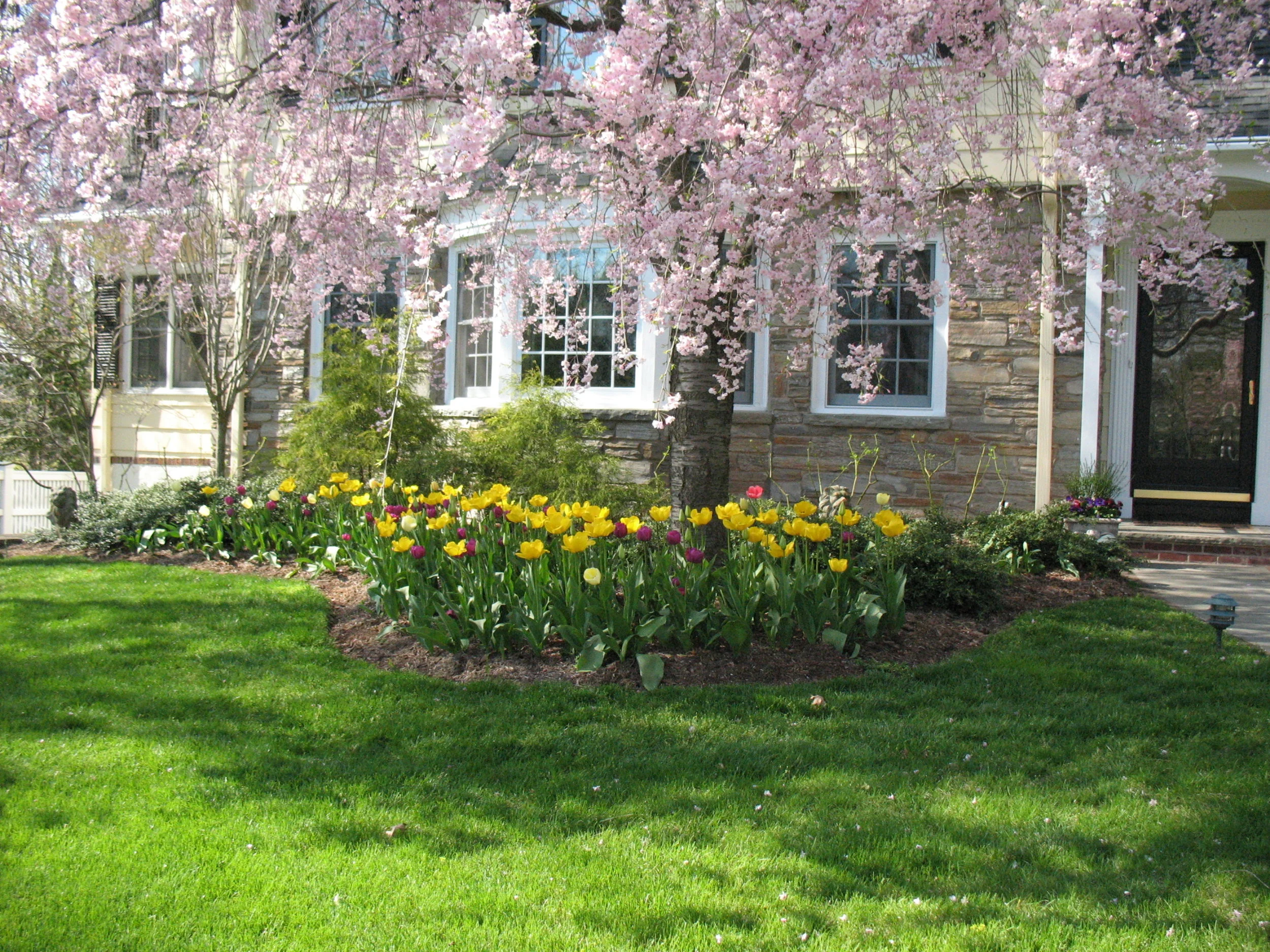2009Apr001.jpg