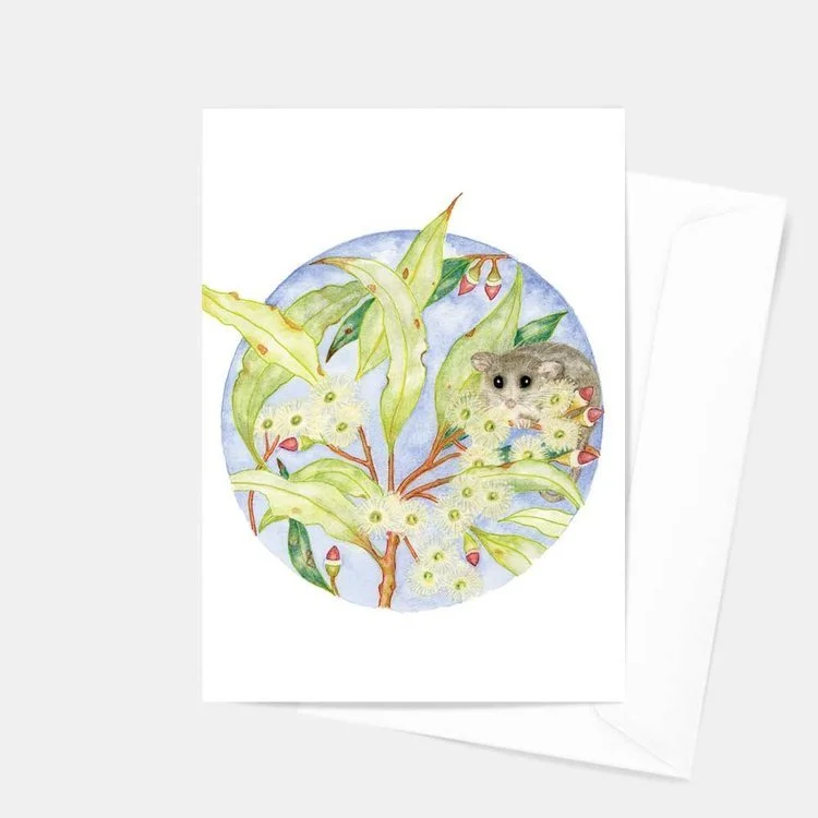 Mixed Pack - 'The Little Twilight Possum'