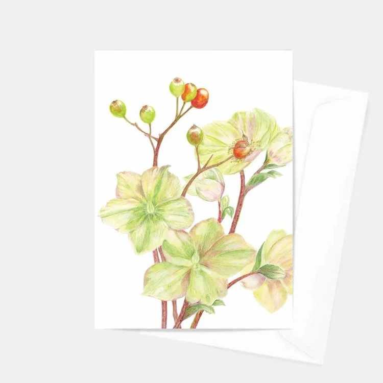 Hellebores and Rosehips