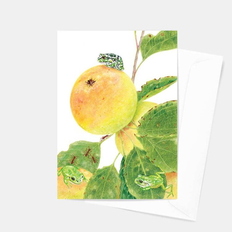 Slippery Frogs and Ants that bite