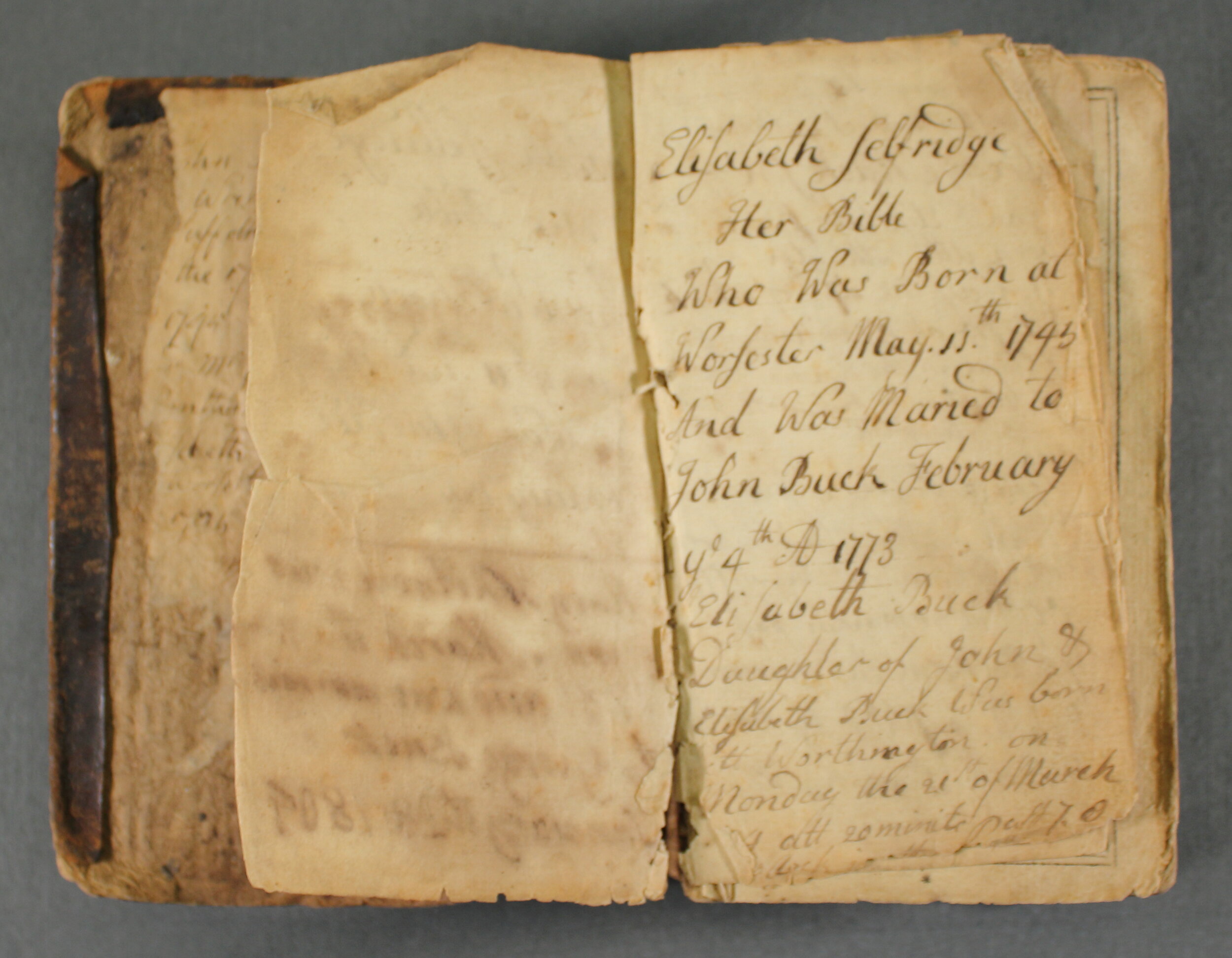 Before treatment- genealogy original in binding