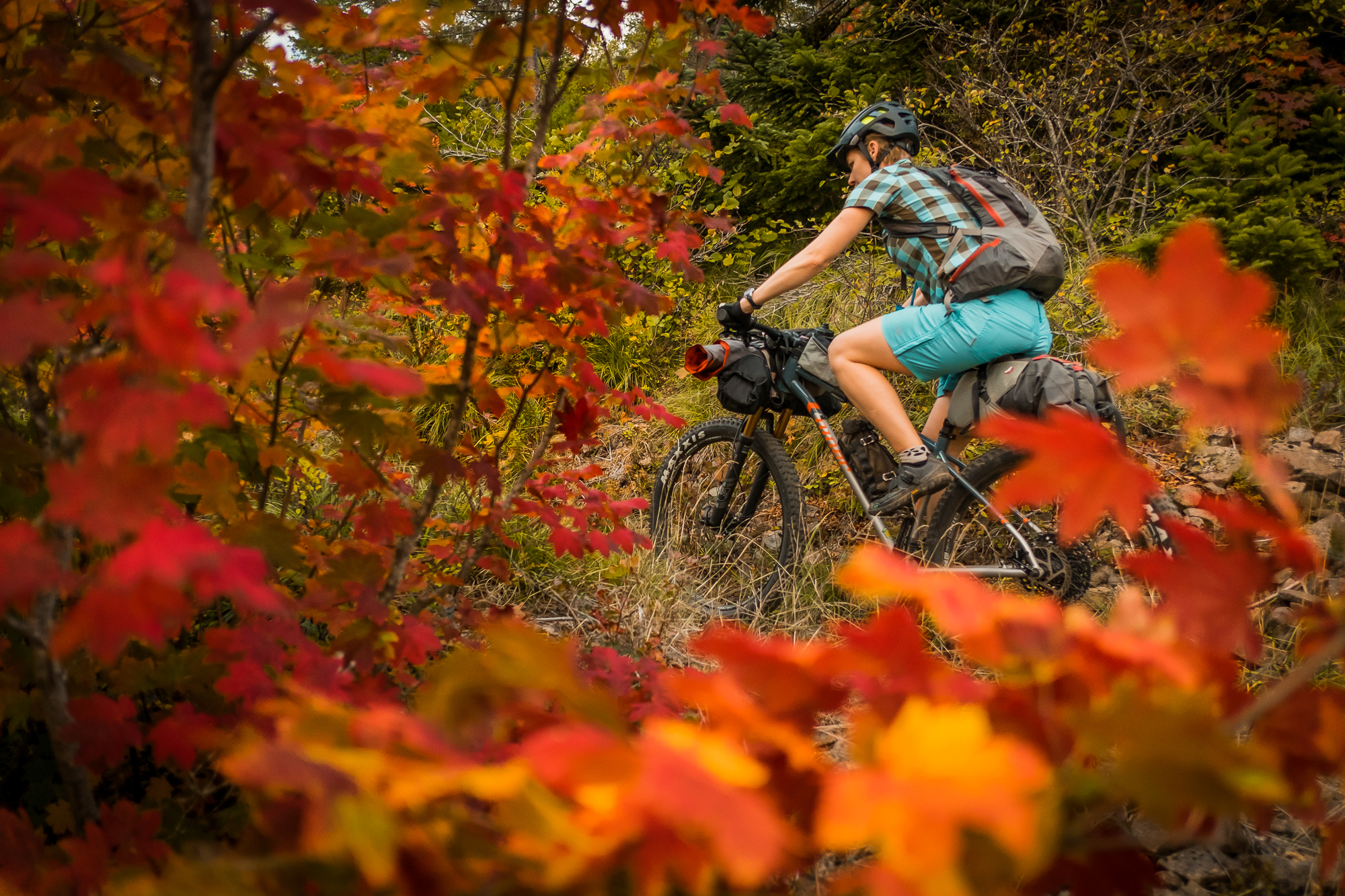 Oregon Mountain Biking Coalition Summit—October 6th