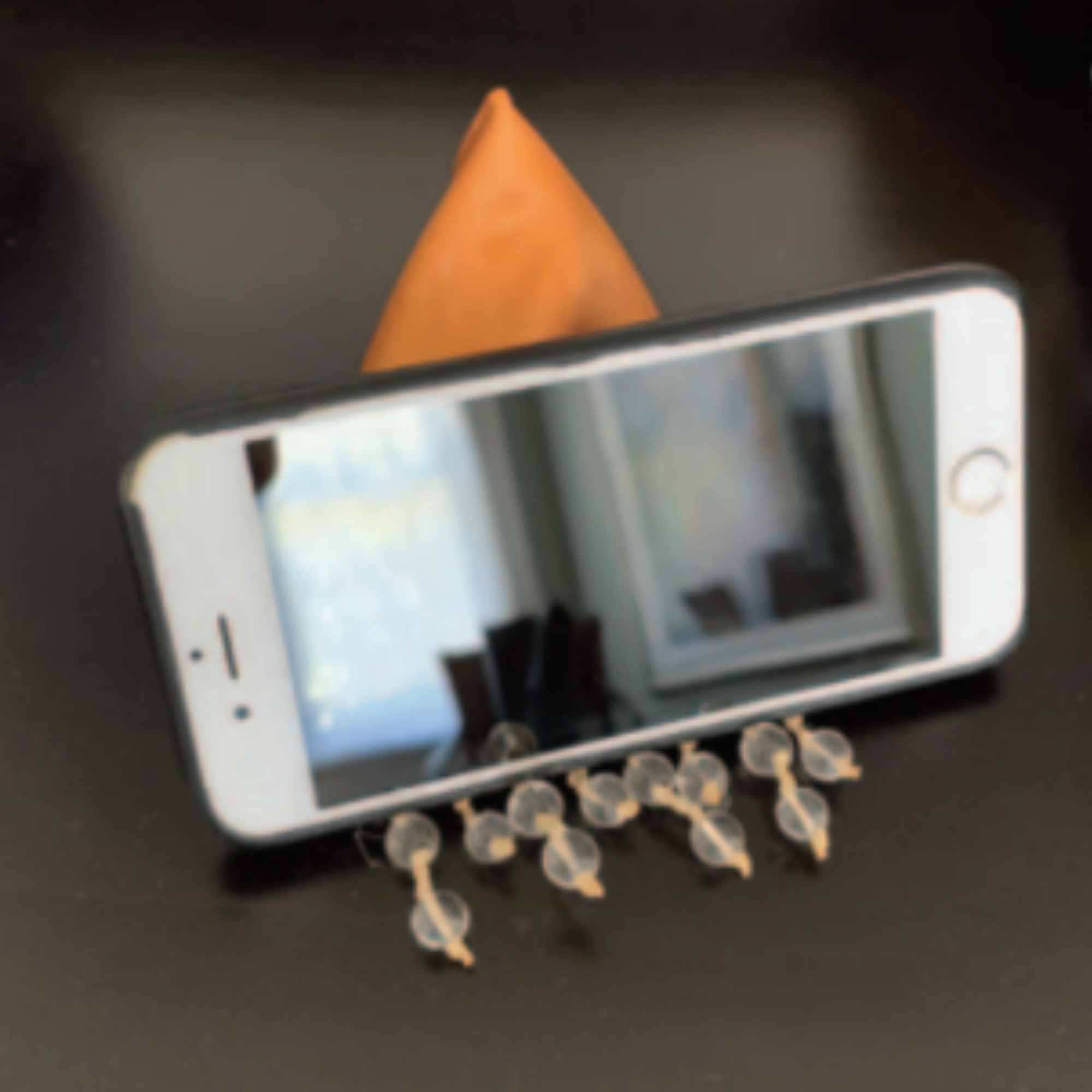 Cell Phone Cradle