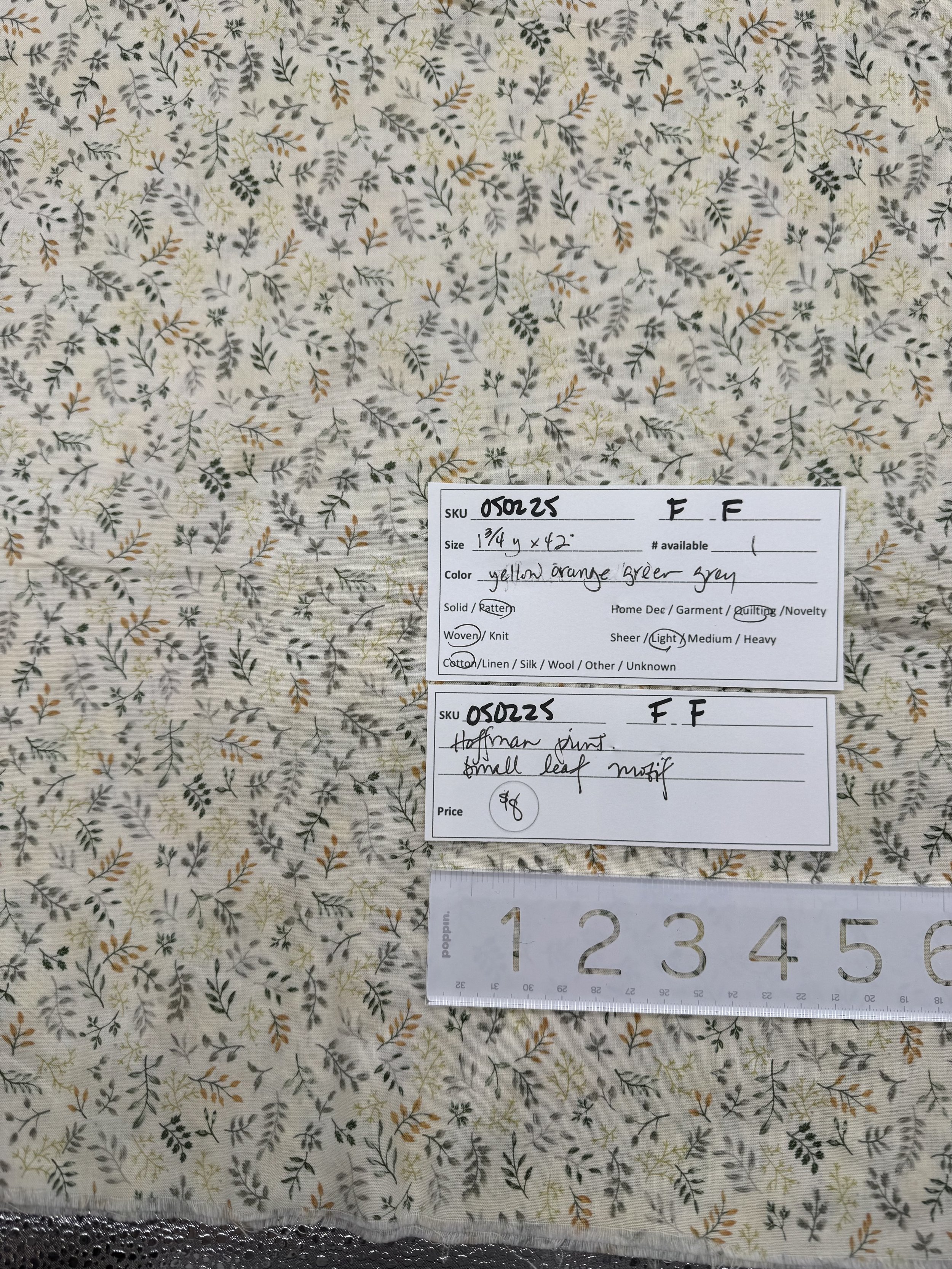 IMG_5458.jpeg