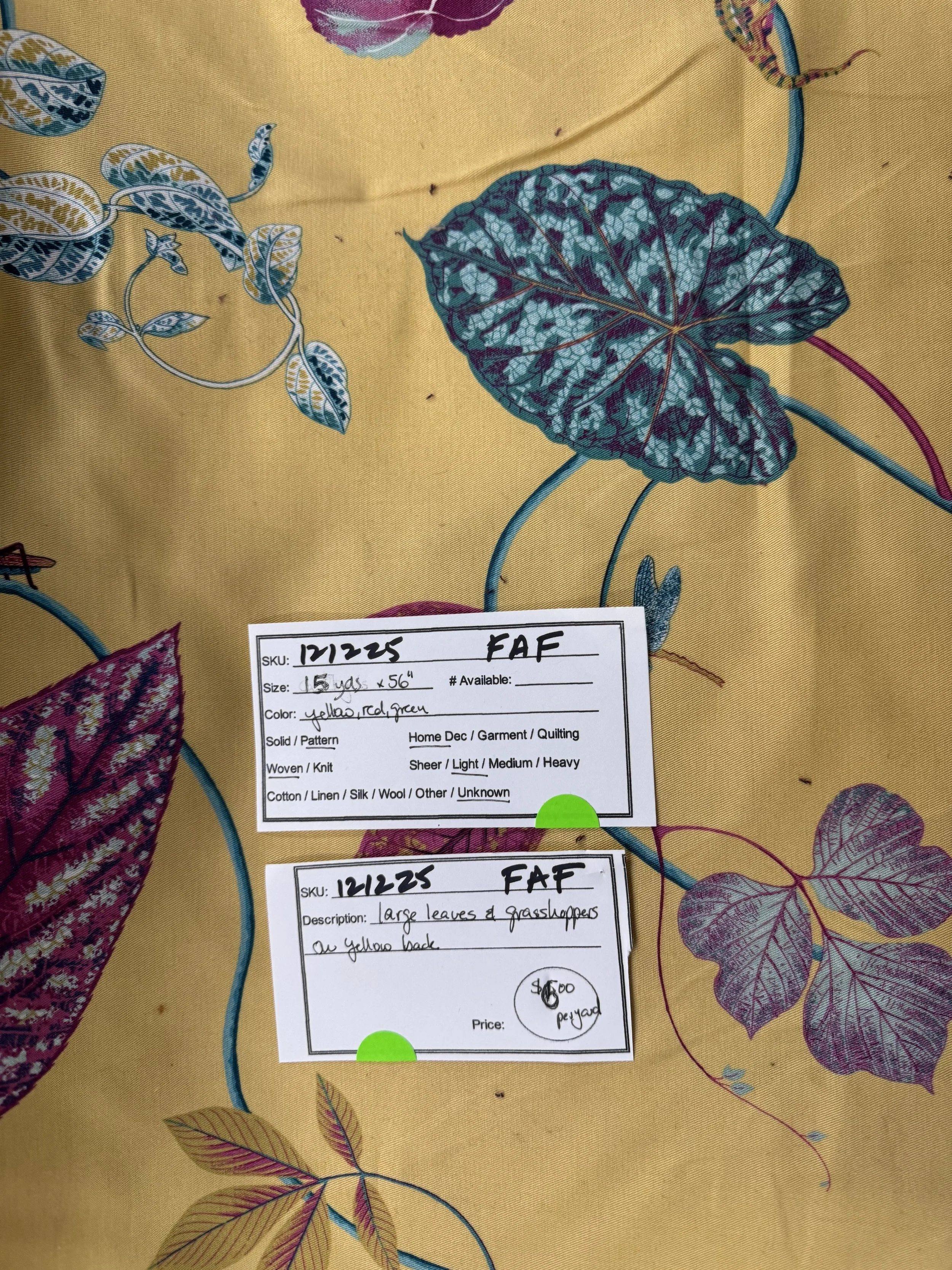 IMG_8125 121225 F AF 3.jpeg