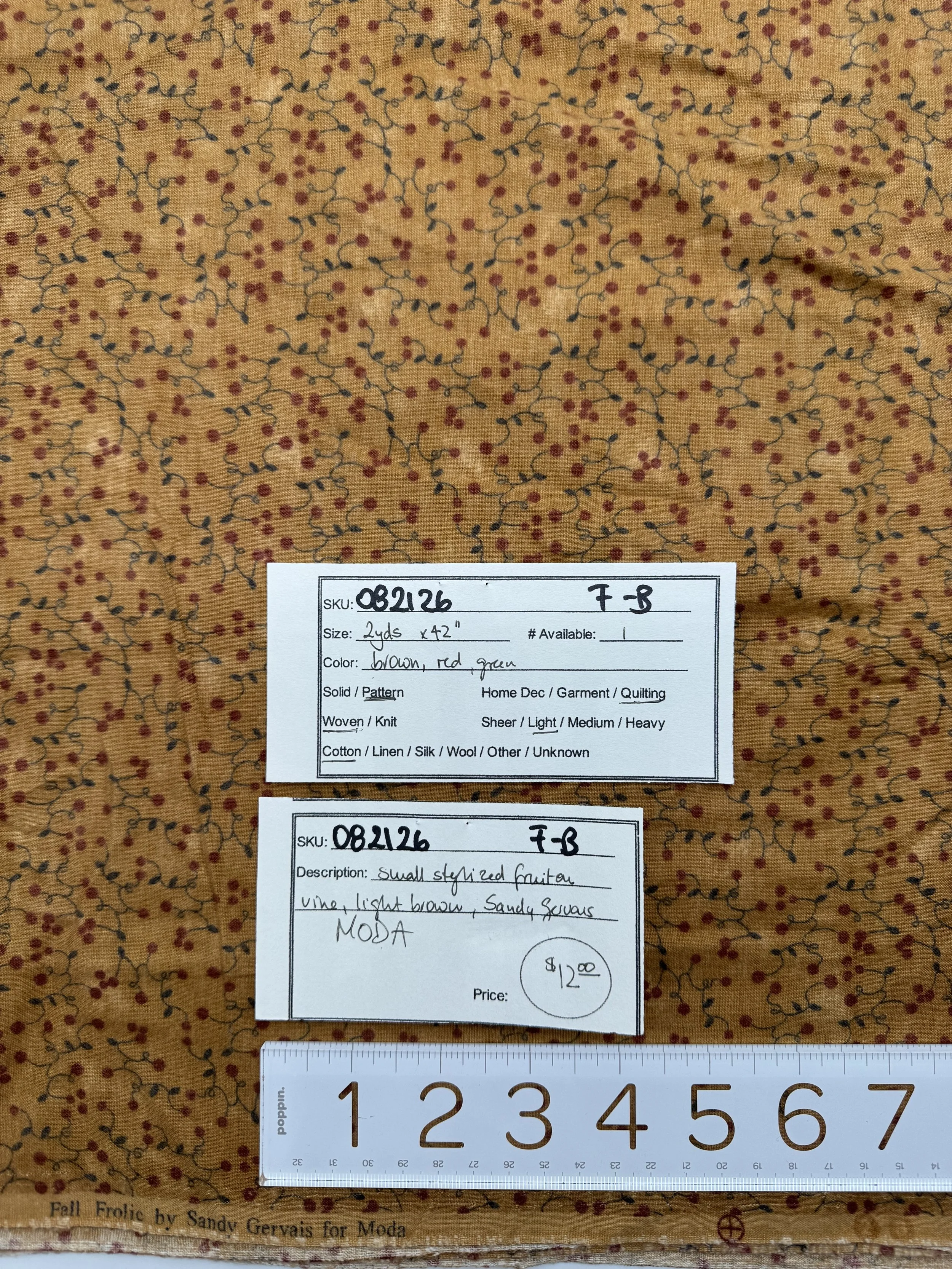 IMG_0588.jpeg