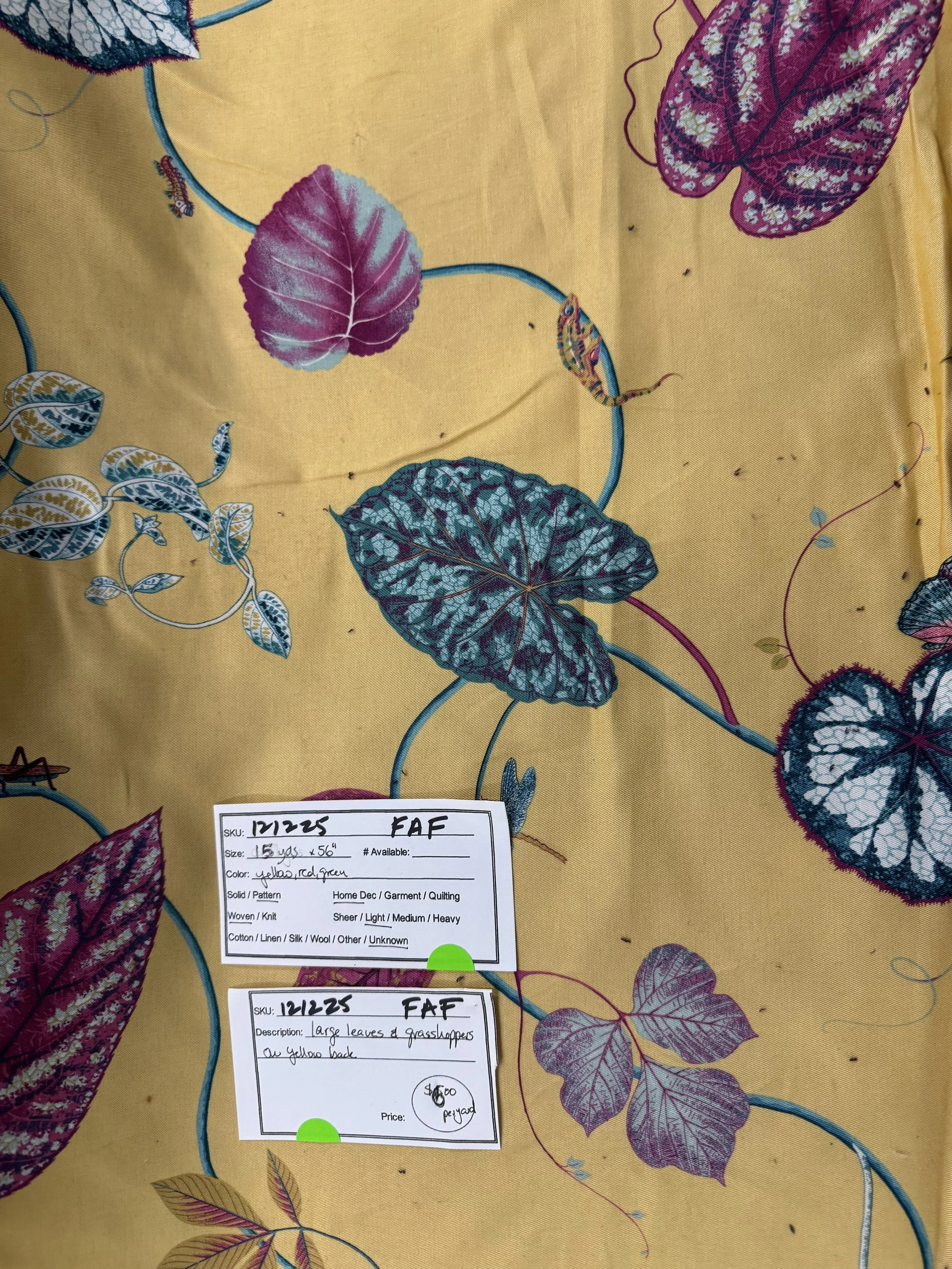 IMG_8127 121225 F AF 1.jpeg