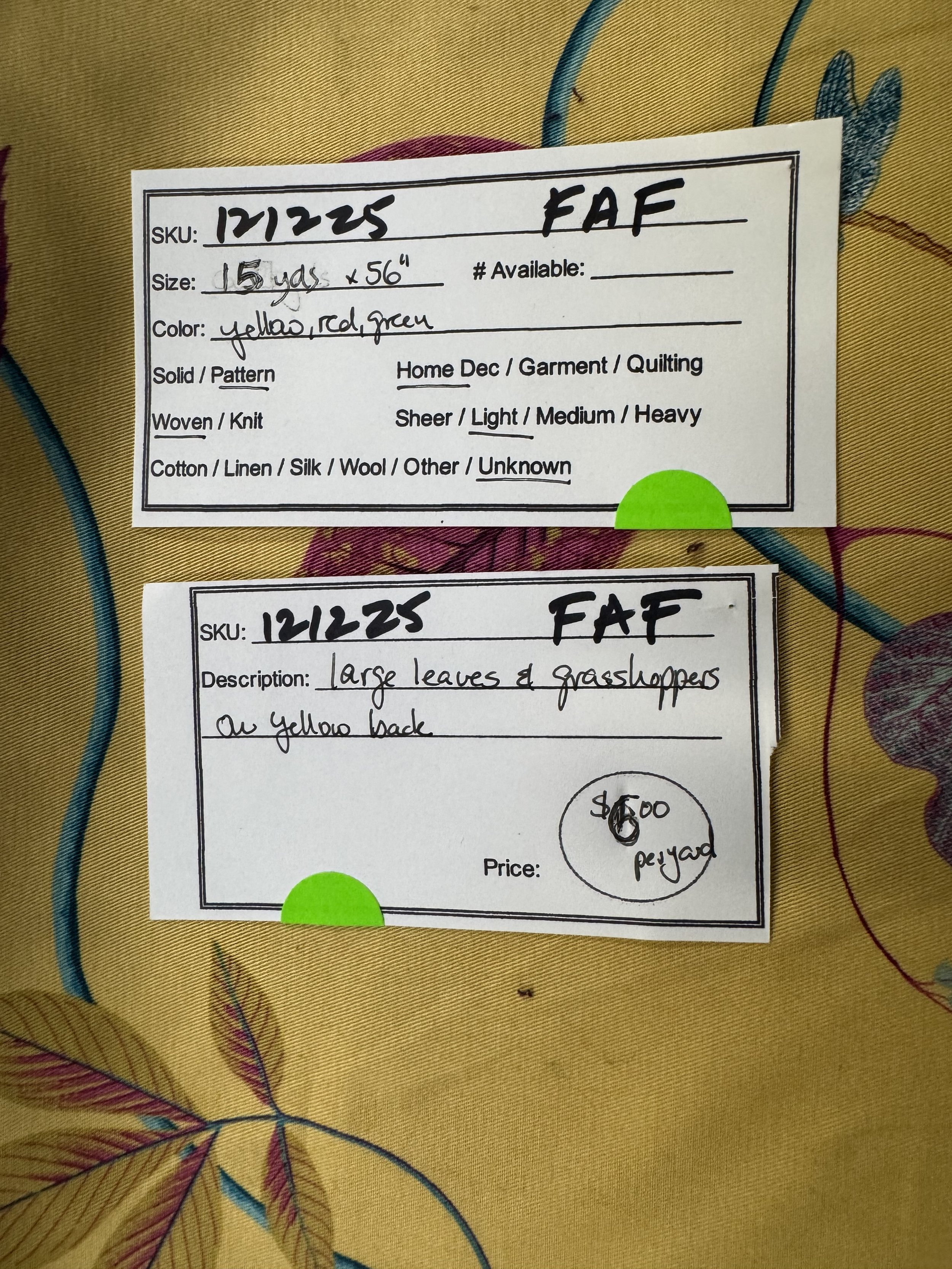 IMG_8126 121225 F AF 2.jpeg