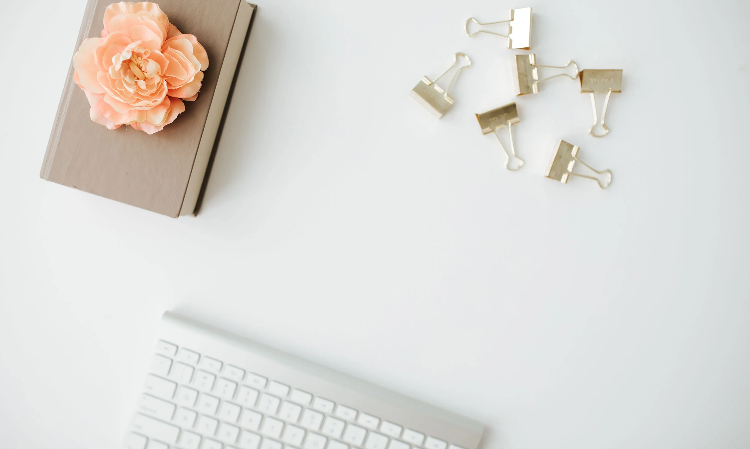 coral-rose-and-keyboard-of-squarespace-website-designer.jpg