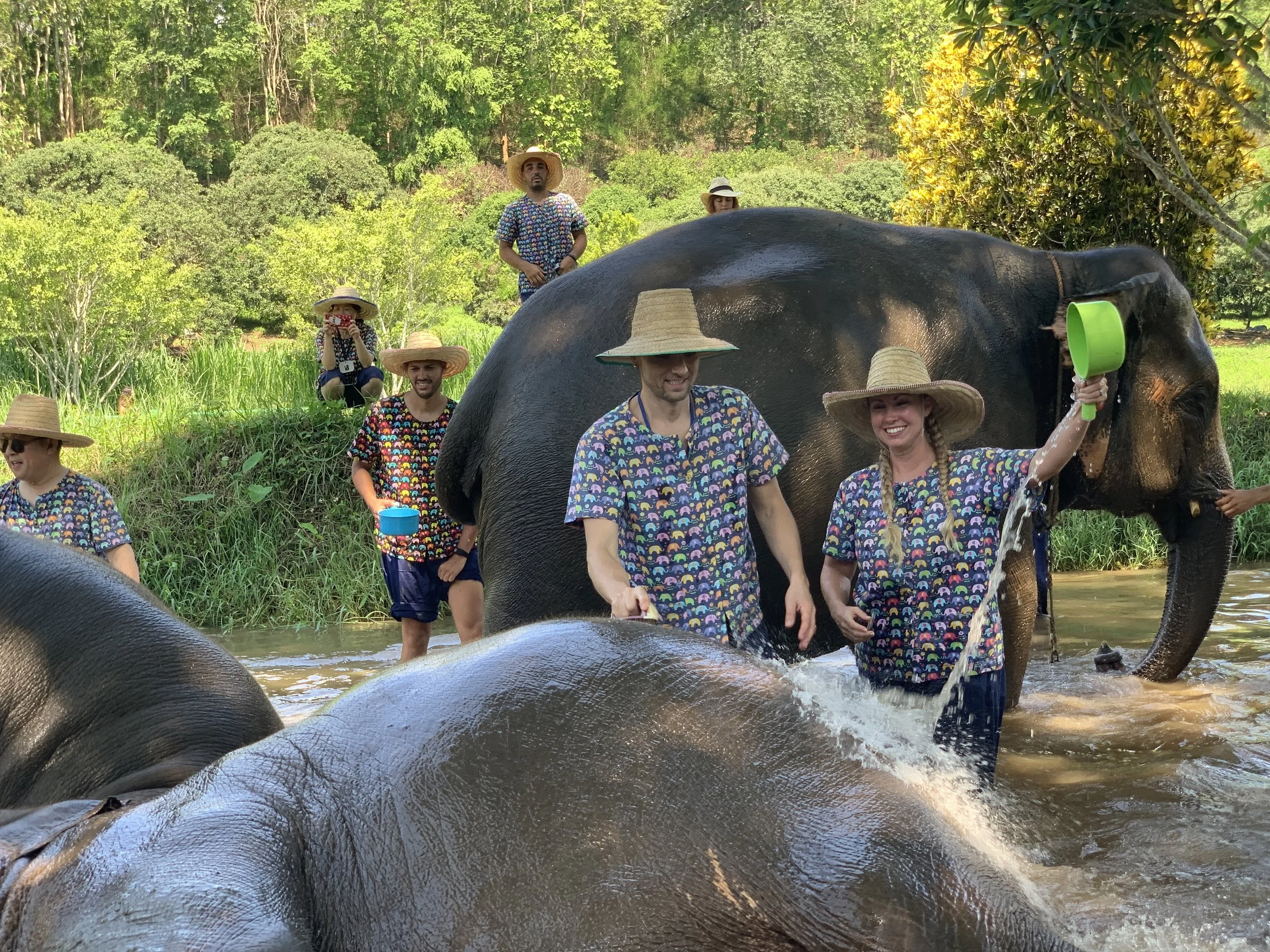 Bathing the Elephants