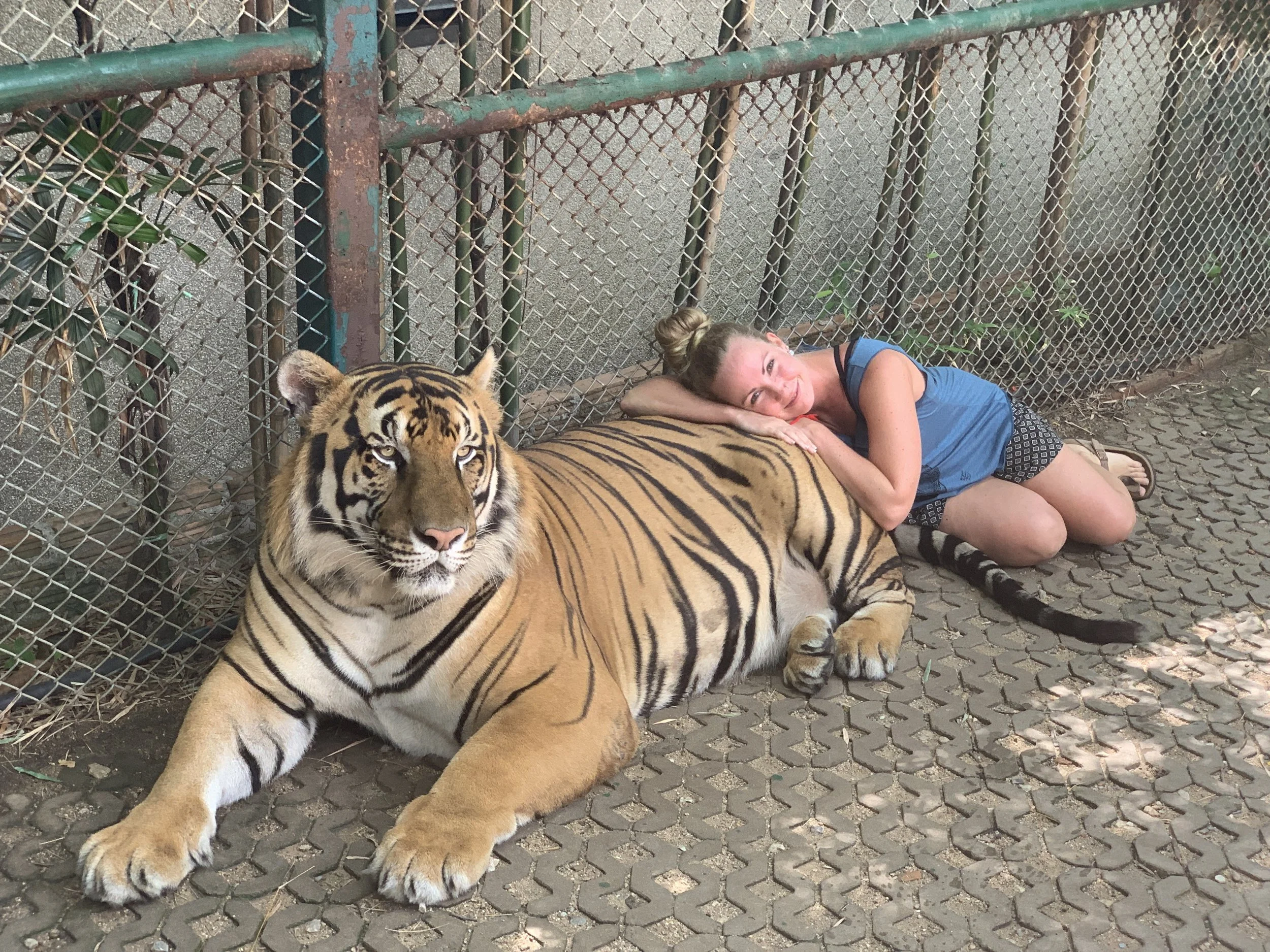 Victoria at Tiger Kingdom
