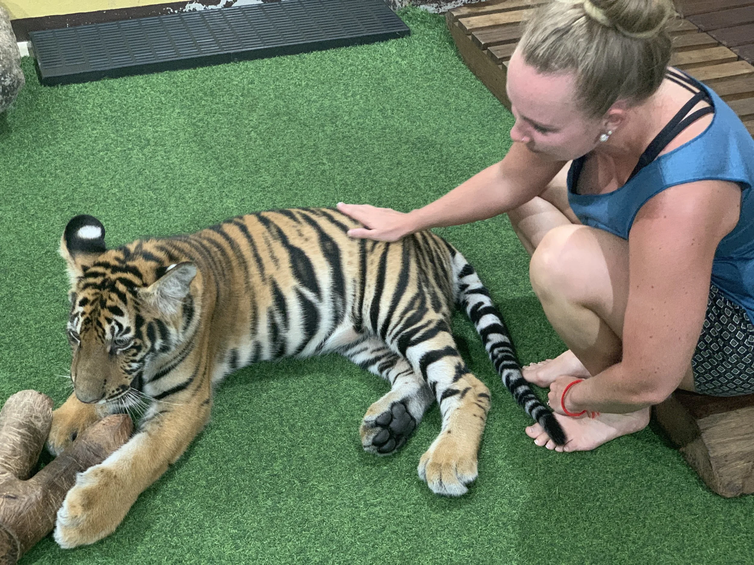 Tiger Kingdom - 57.JPG